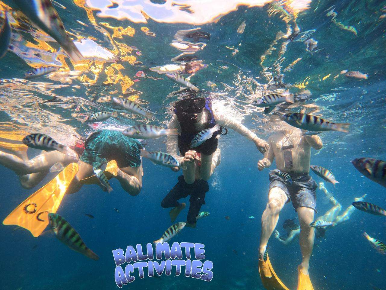 Snorkeling Package