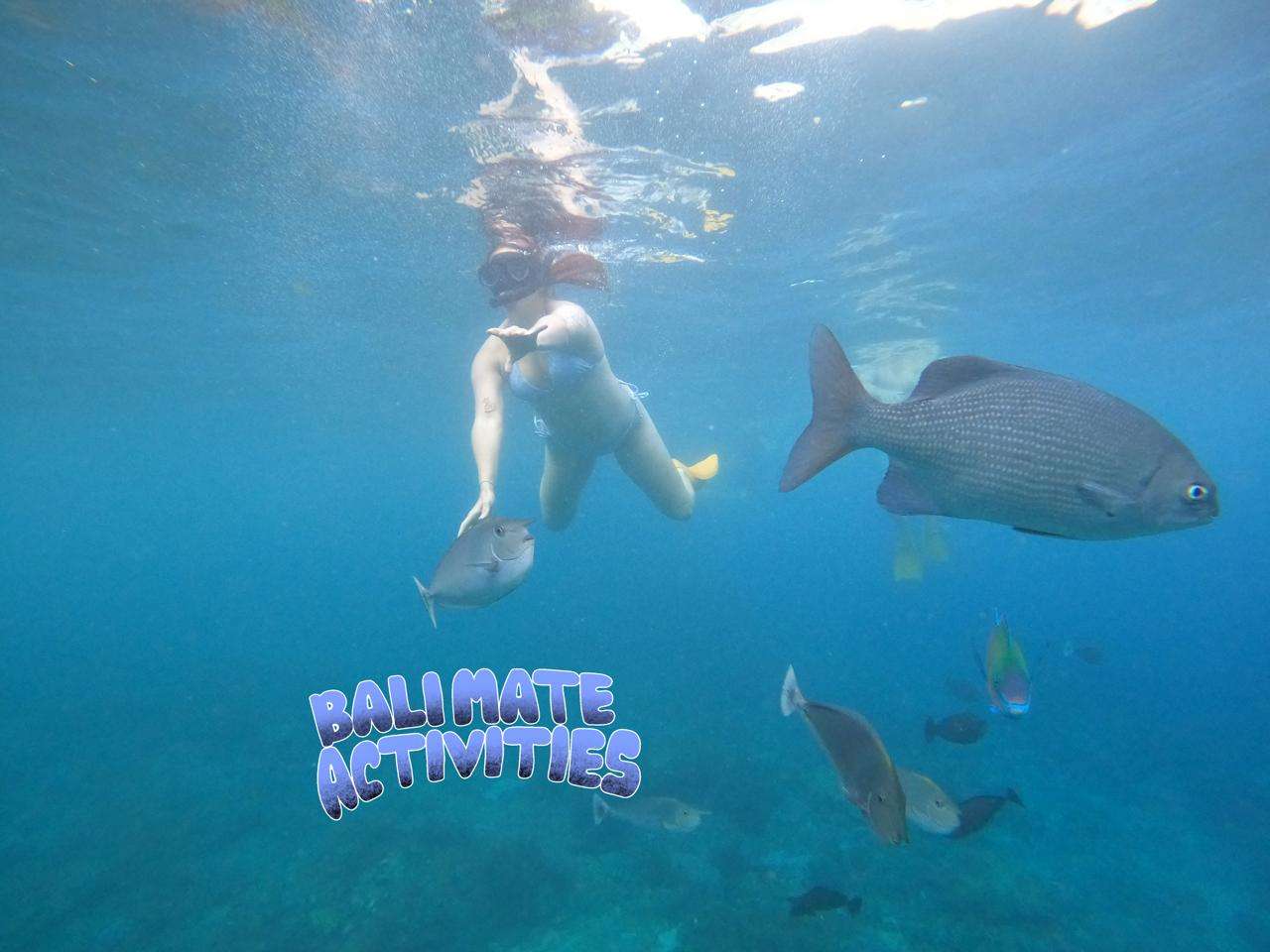 Snorkeling Package