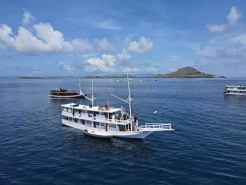 Komodo Island Open Trip 3 Days 2 Nights with Nadia Phinisi