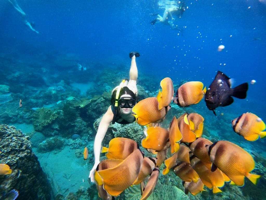 Nusa Penida Snorkeling Experience