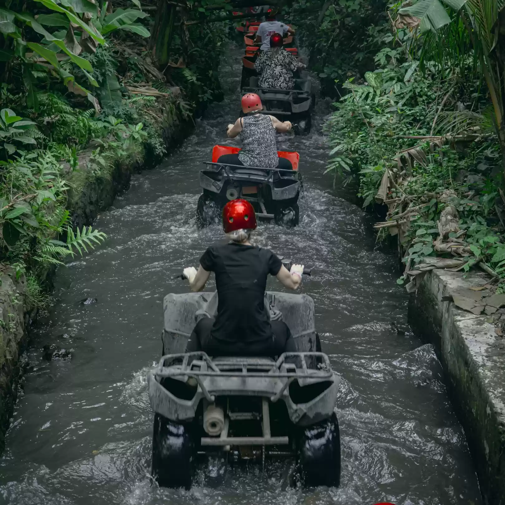 River & Jungle Track