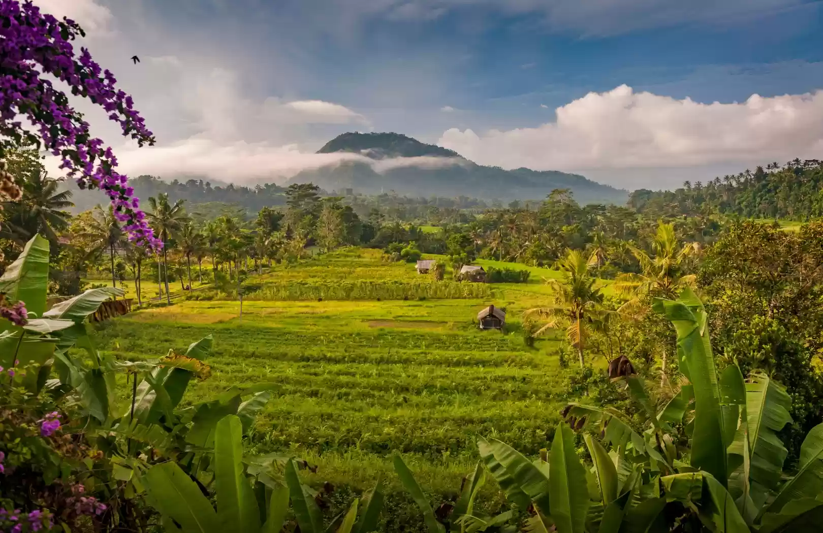 Sidemen Rice Terrace