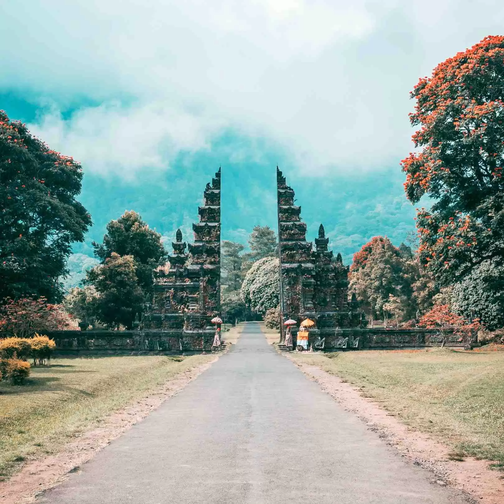 Your trusted partner for exploring Bali comfortably