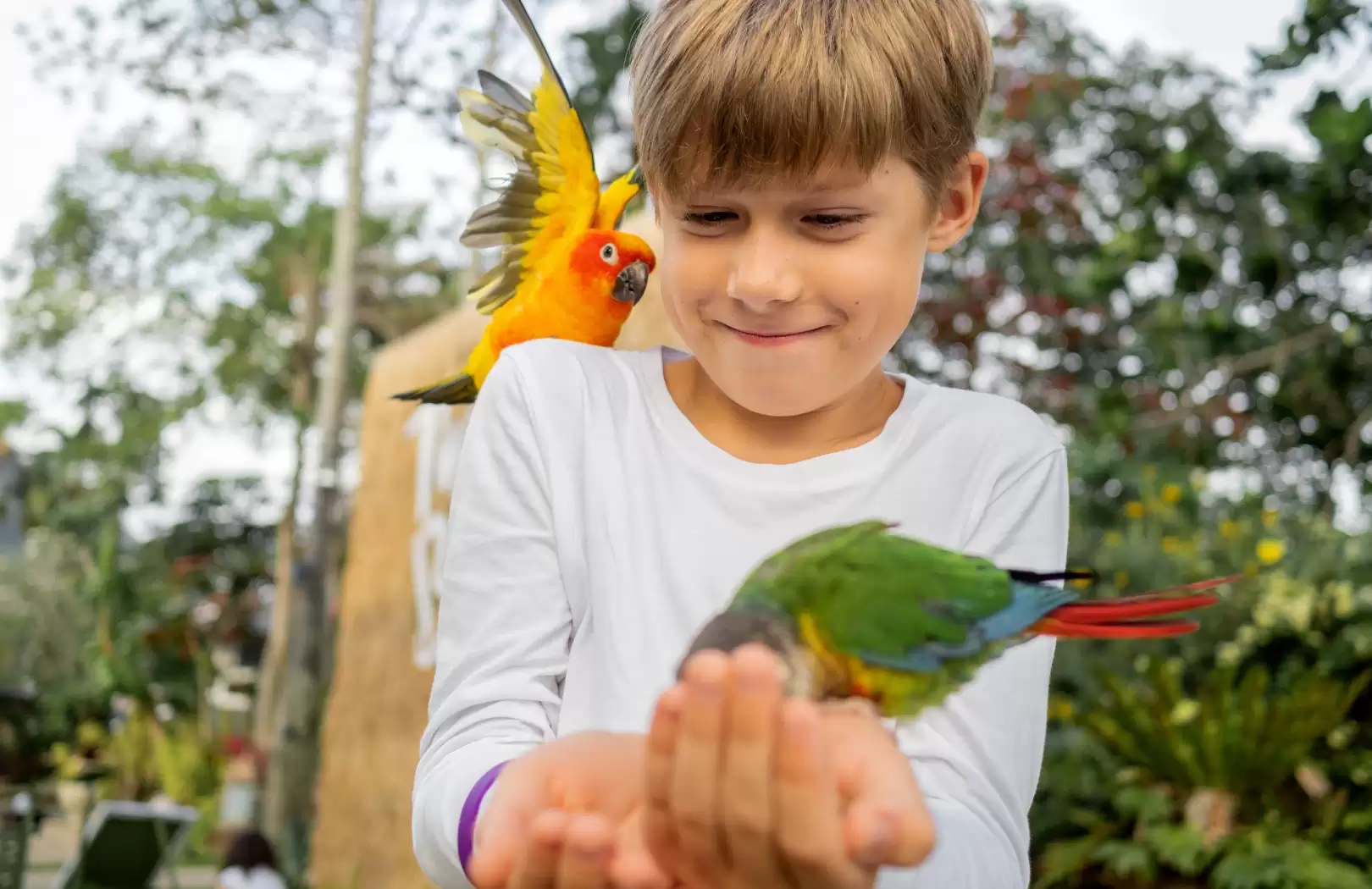 Bali Bird Park - Dinner Cruise Tour 3 Hari 2 Malam (MTB 301-E)