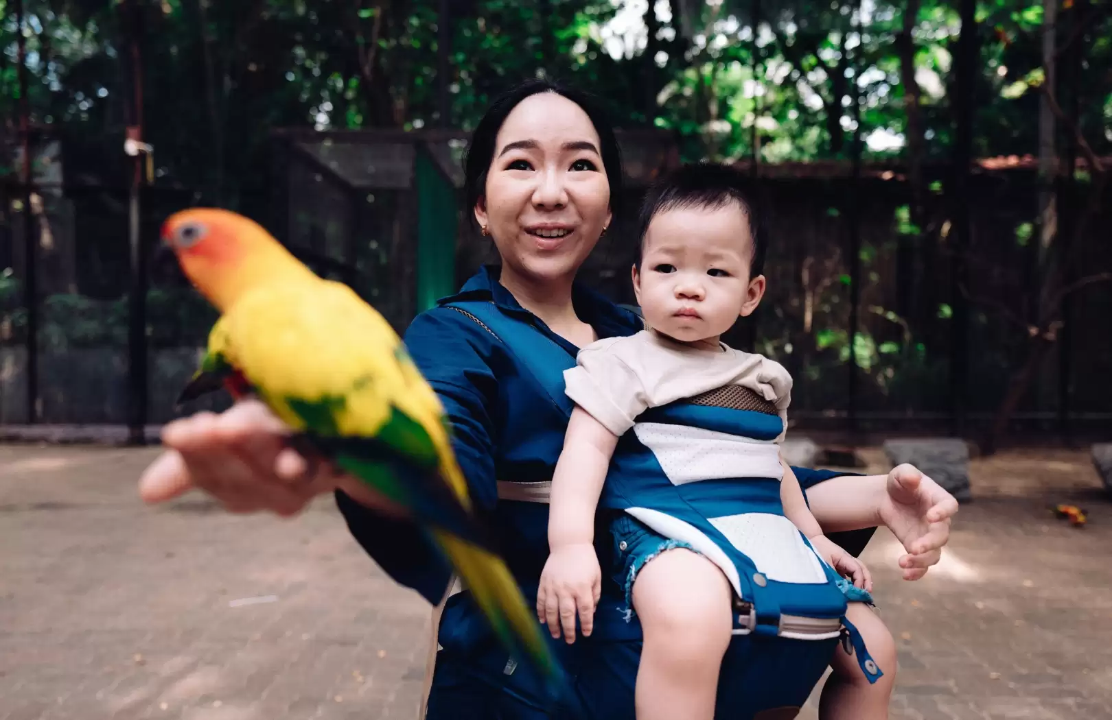 Bali Bird Park - Dinner Cruise Tour 3 Hari 2 Malam (MTB 301-E)