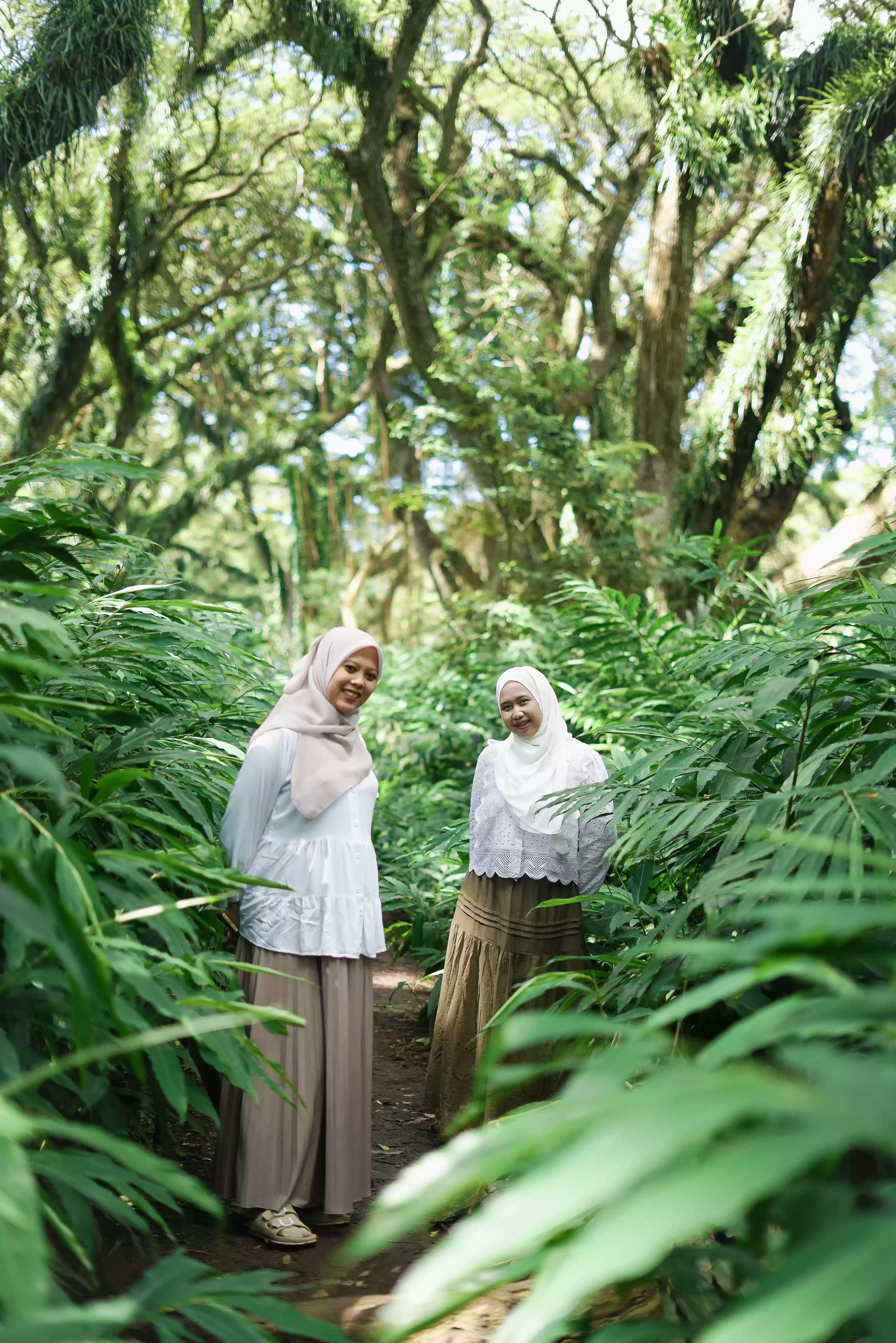 One Day Trip De Jawatan