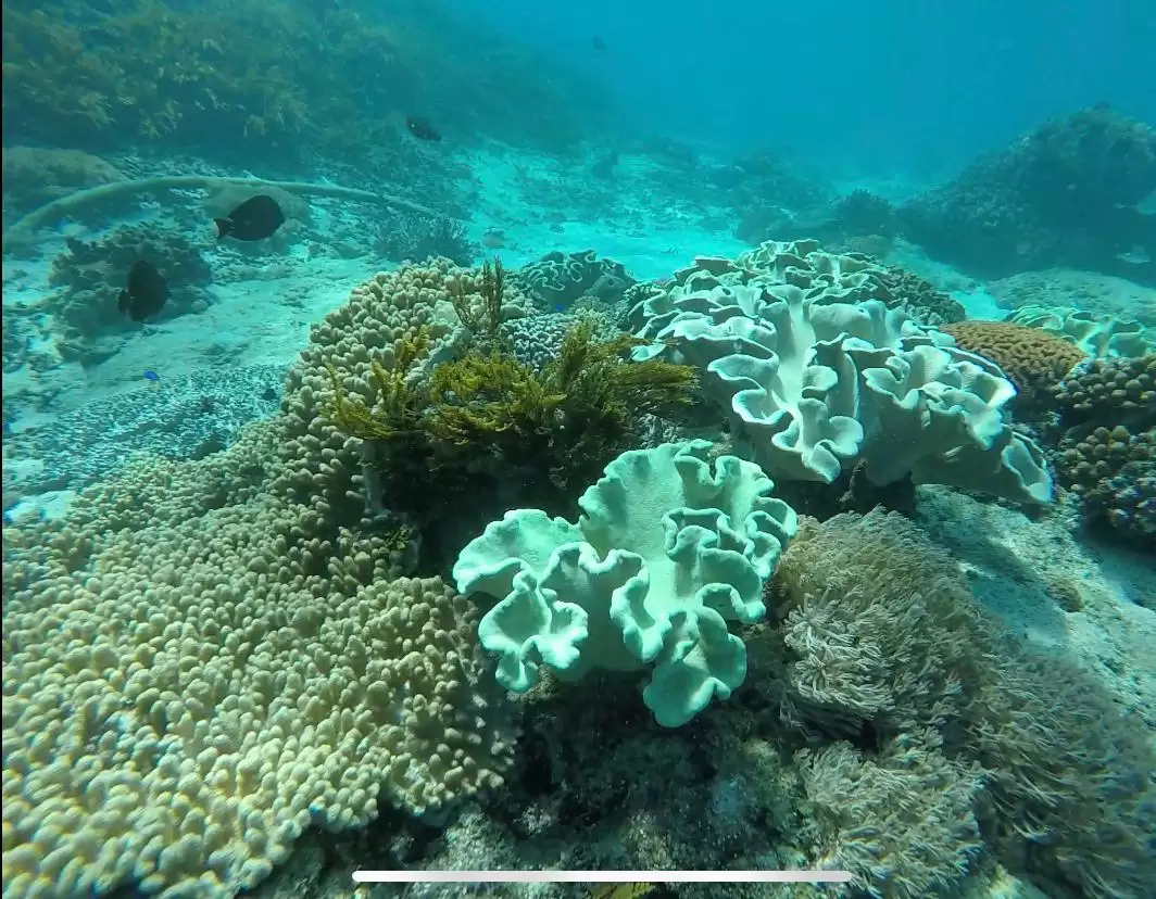 Nusa Penida Island Beach Tour