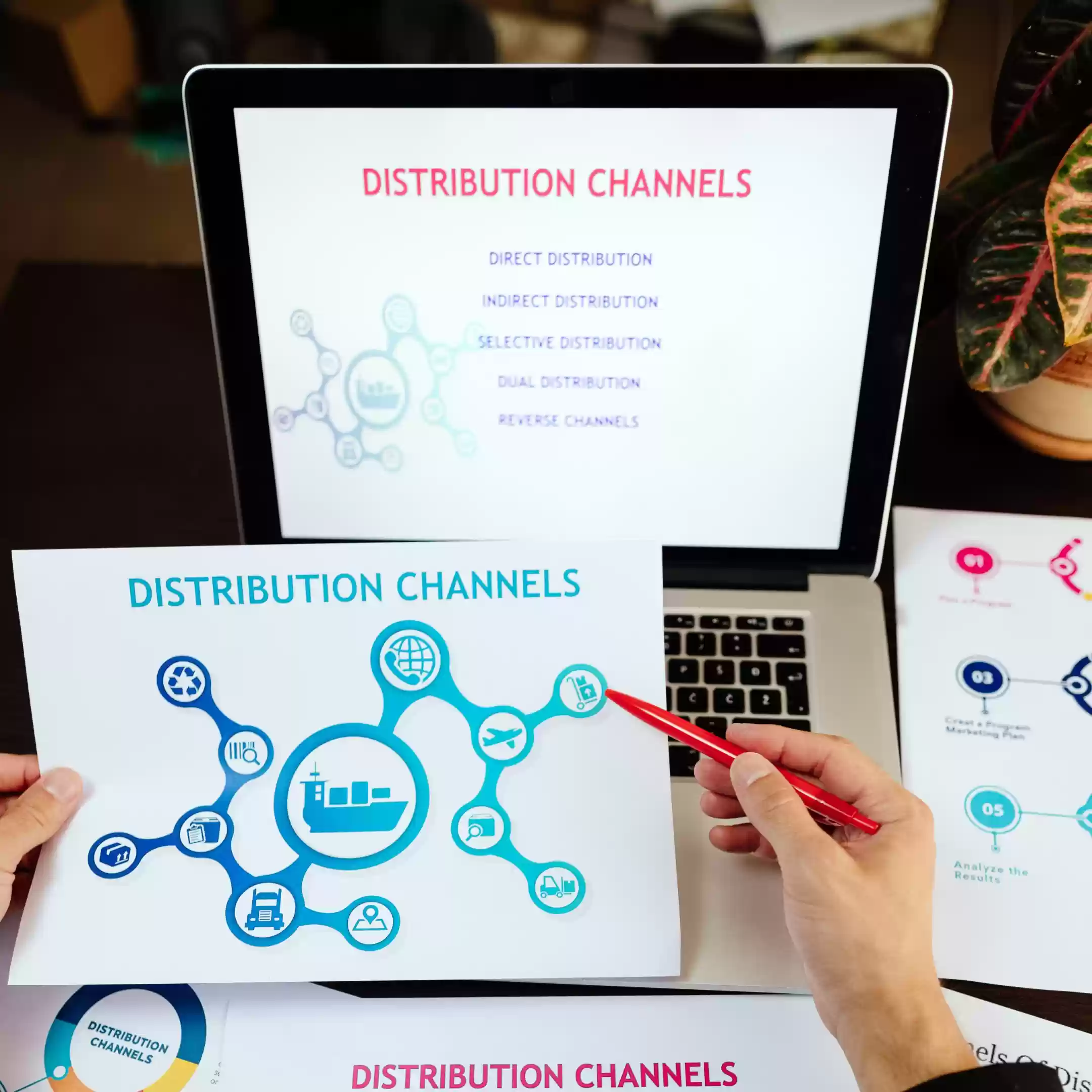 Marketing & Distribution