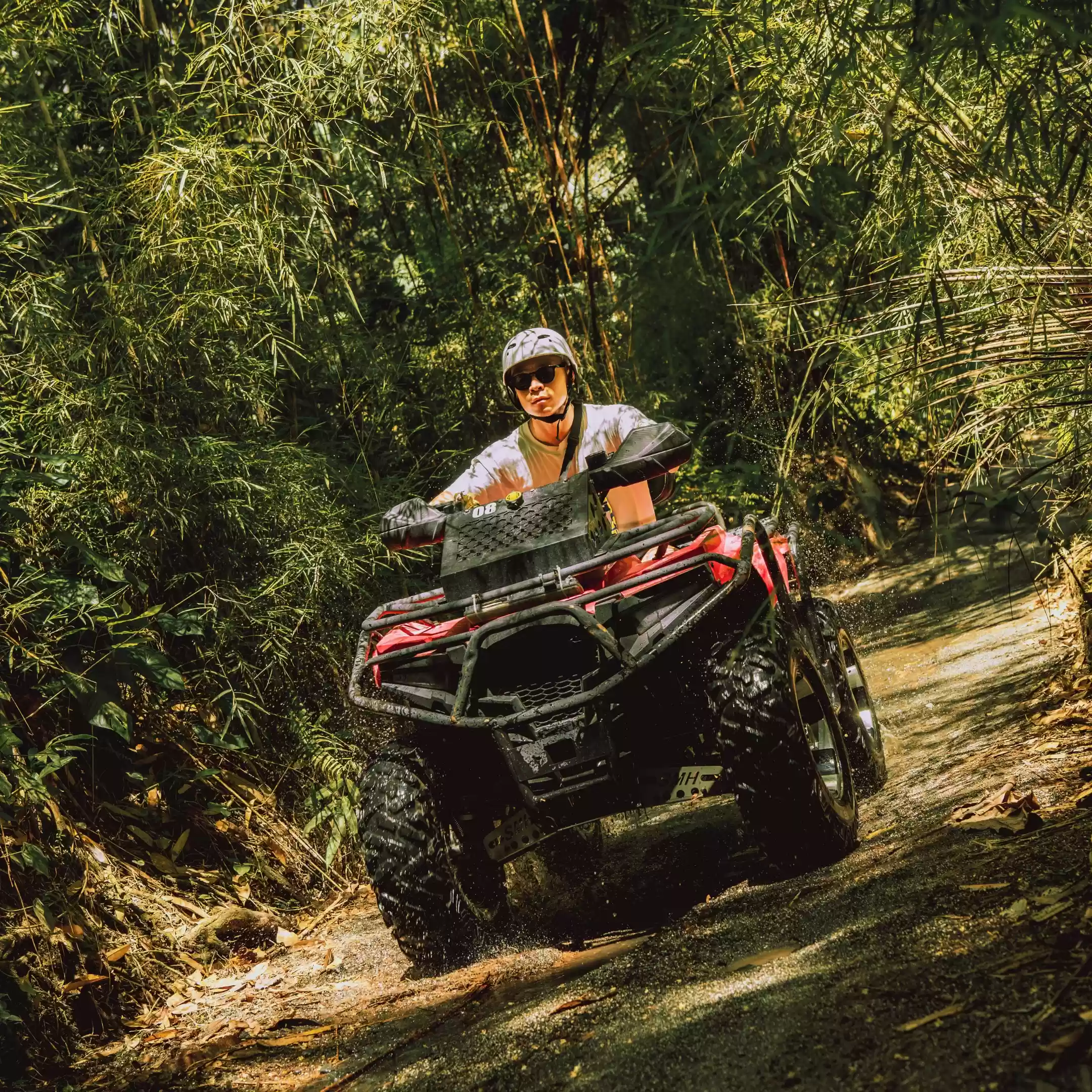 Jungle Trail Ride