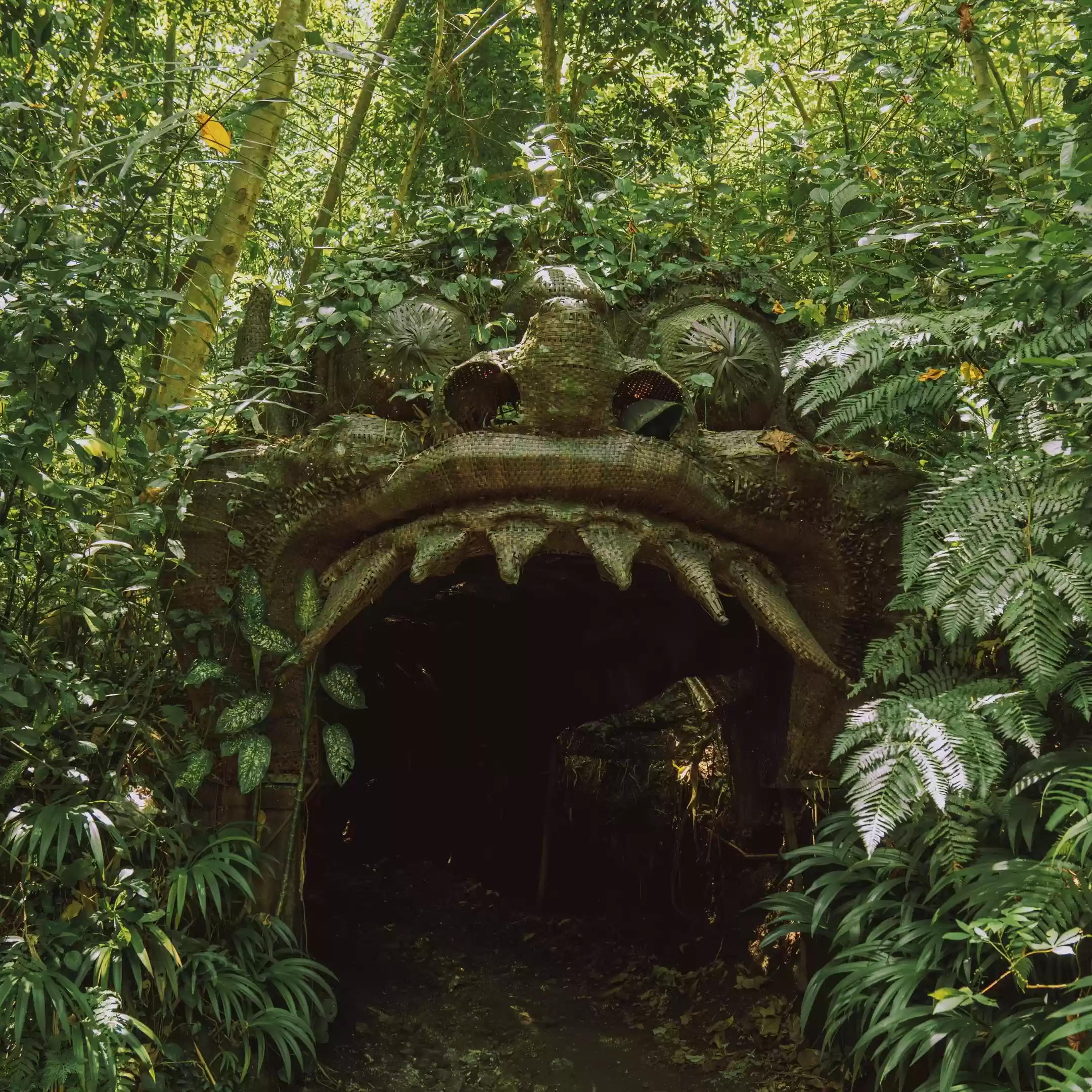 Barong Cave Track