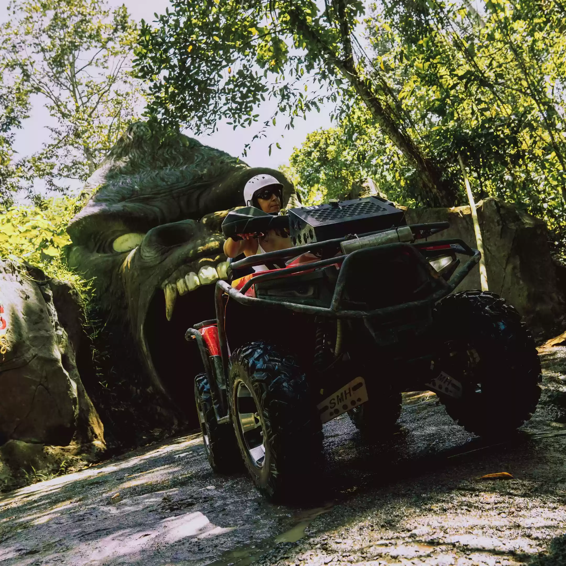 Gorilla Cave Track
