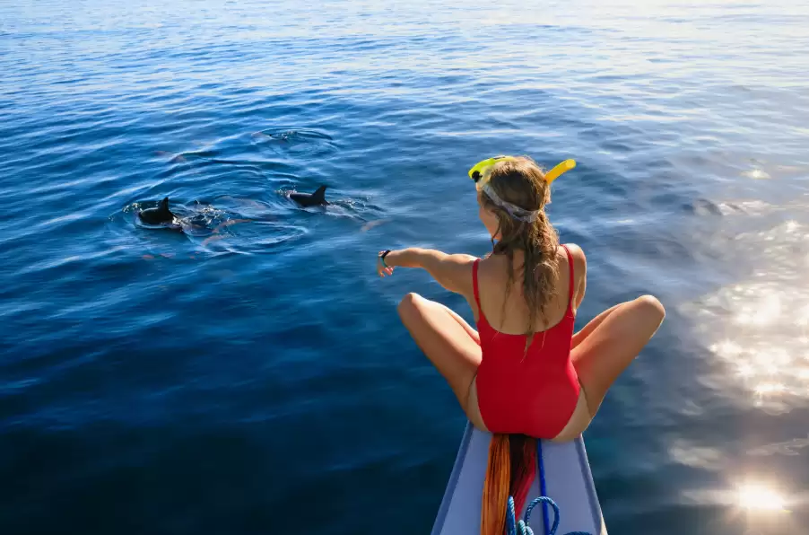 Understand Your Bali Dolphin Tour Private Boat Price