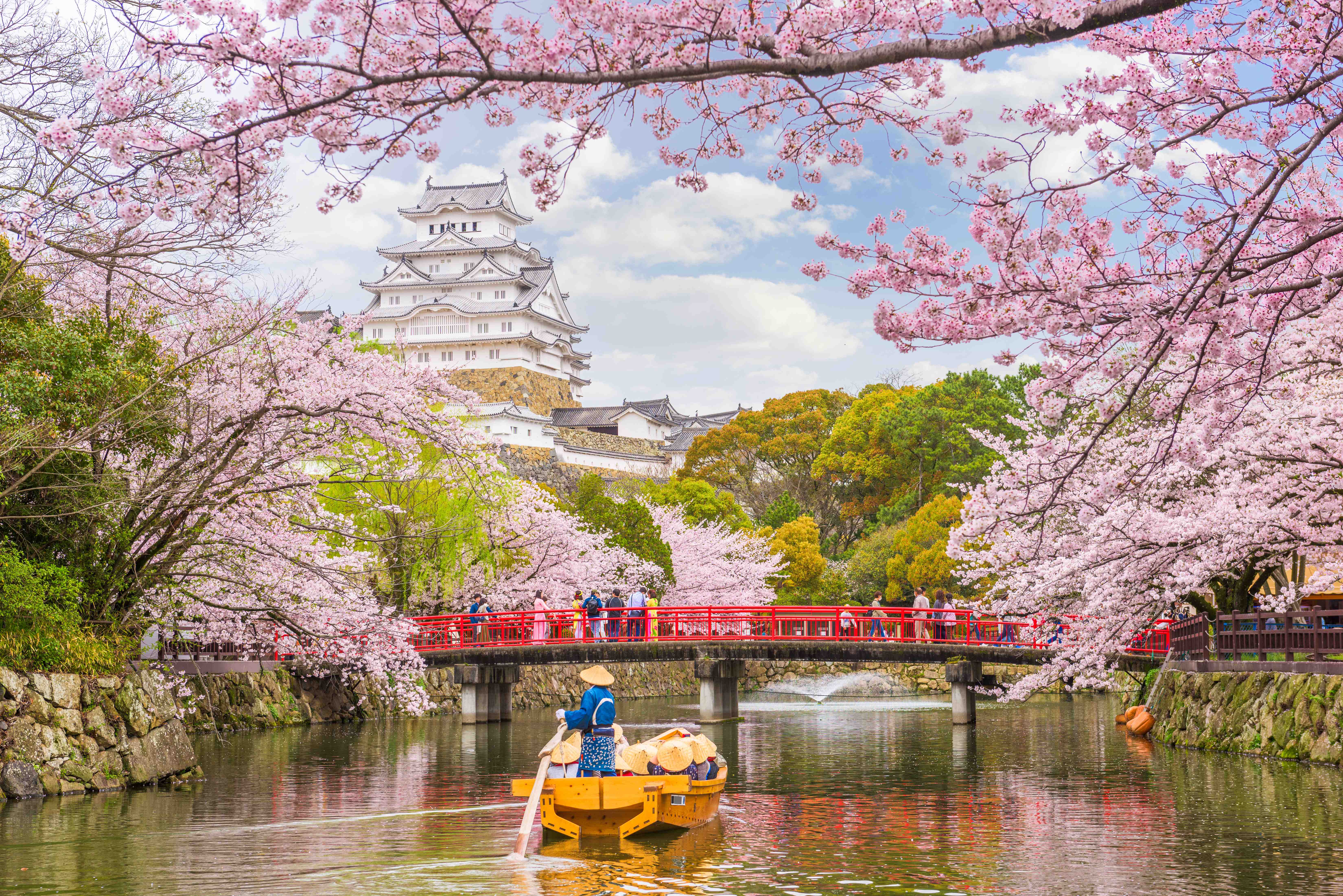 Fakta Menarik Tentang Kehidupan di Jepang yang Jarang Diketahui