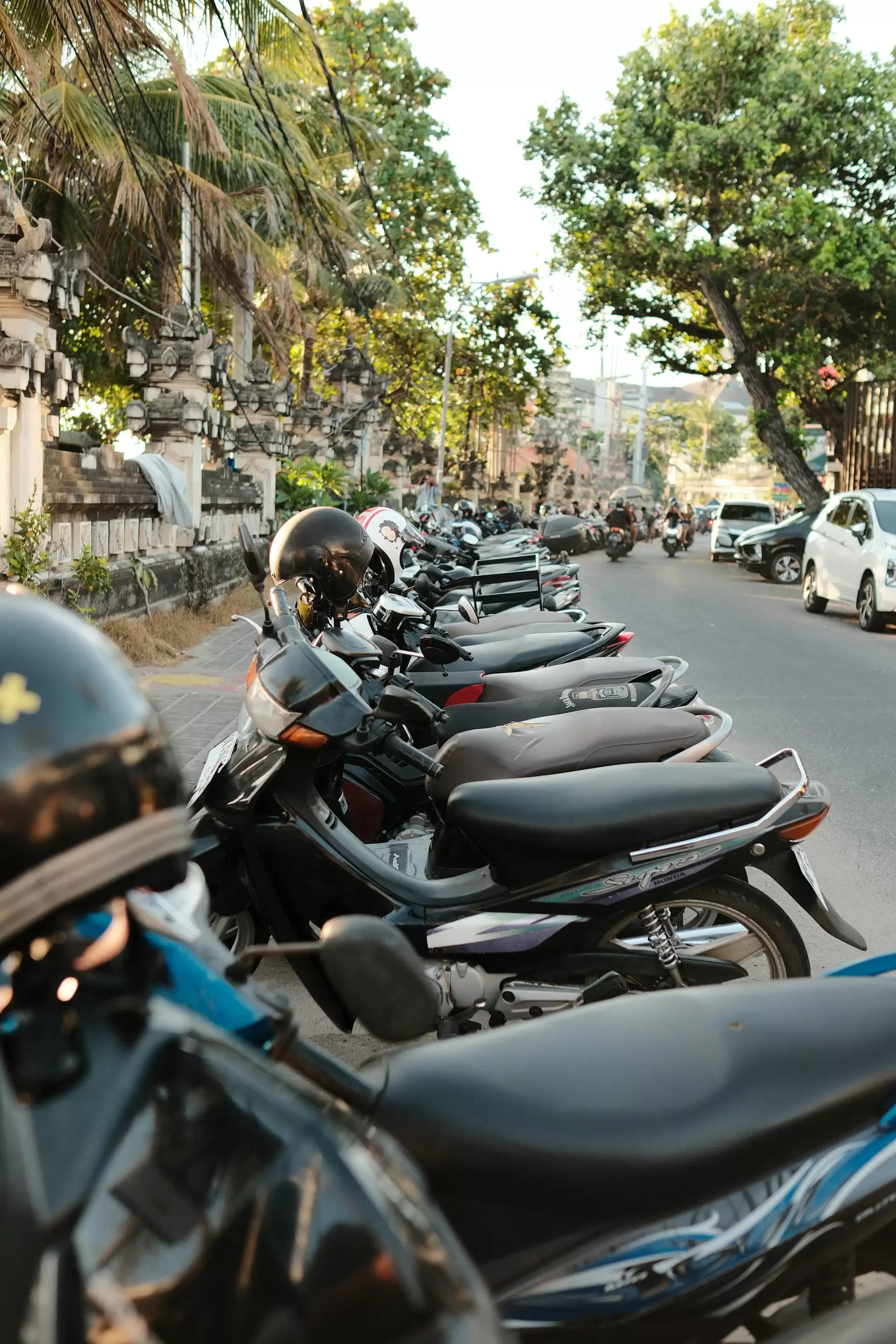 Scooter Rental