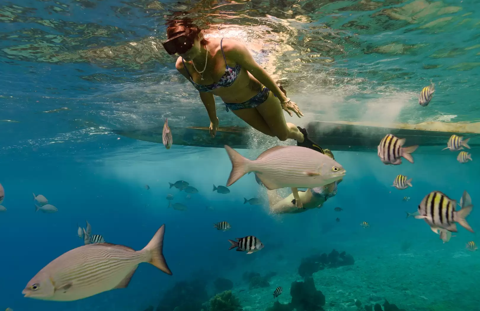 Blue Lagoon & Tanjung Jepun Snorkeling Tour