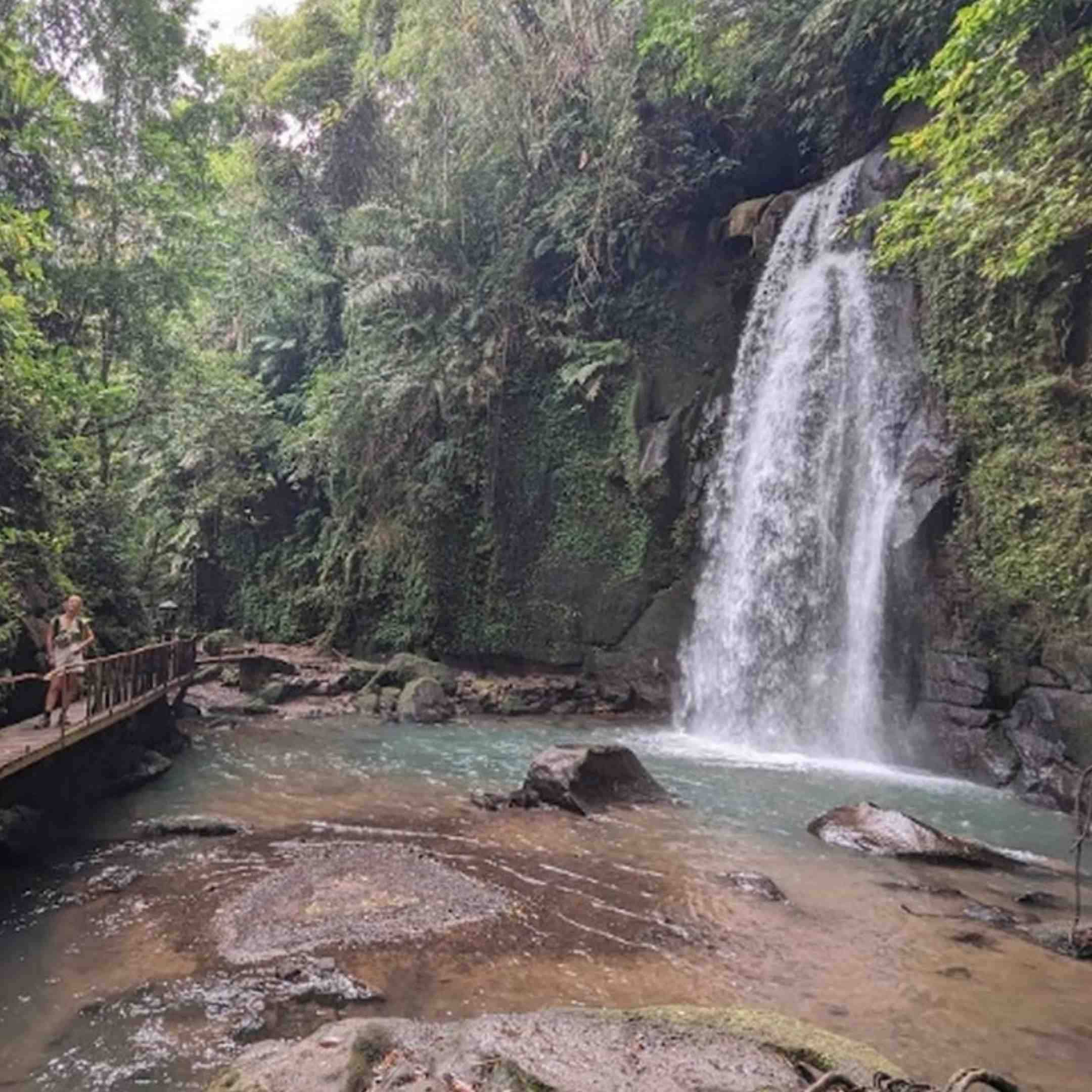 Ultimate Ubud Experience: Private All-Inclusive Day Tour