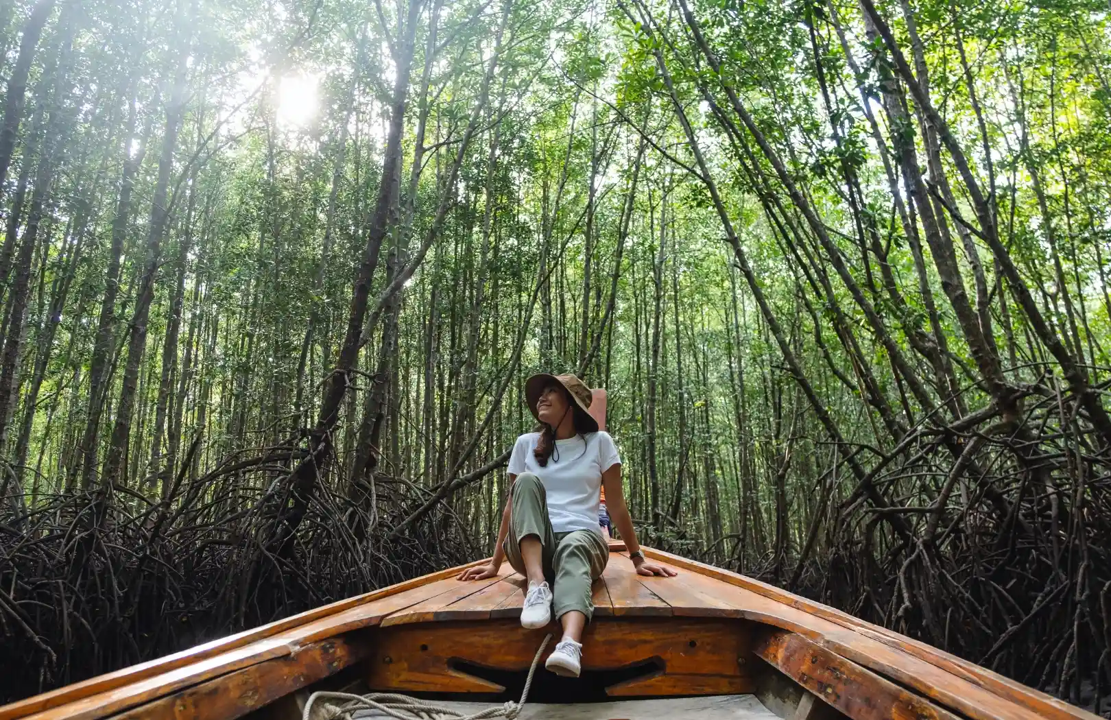 Mangrove Tour + Turtle Island