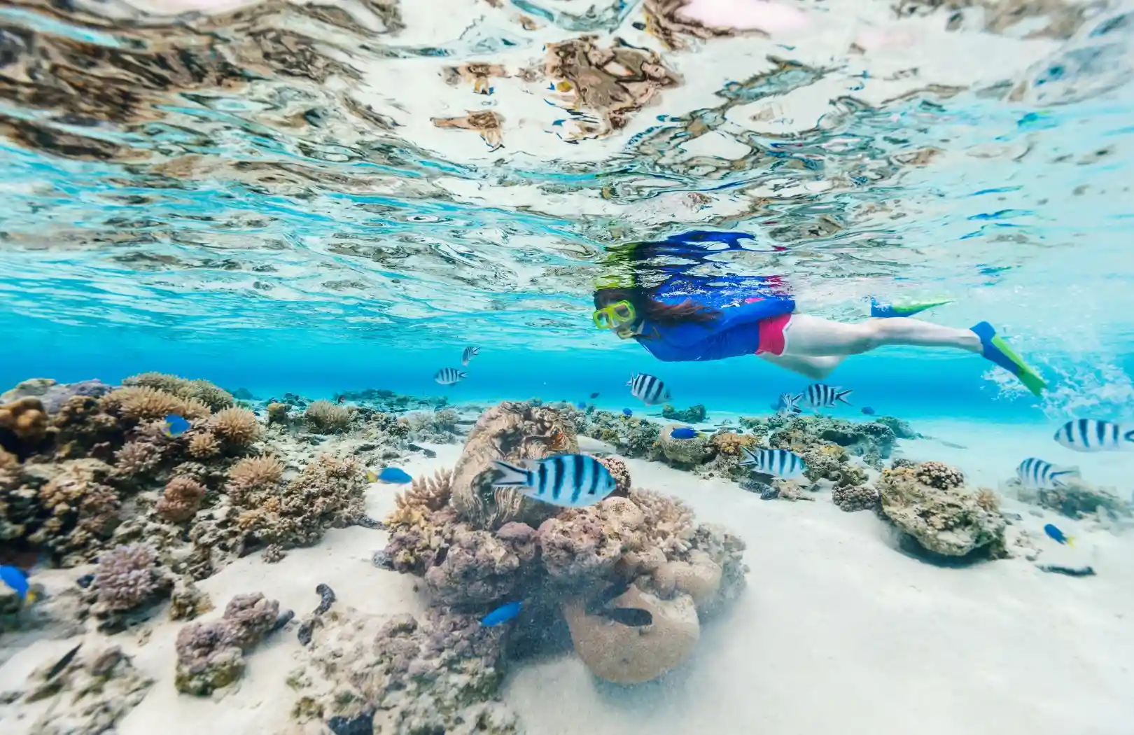 Snorkeling by Glass Bottom Boat