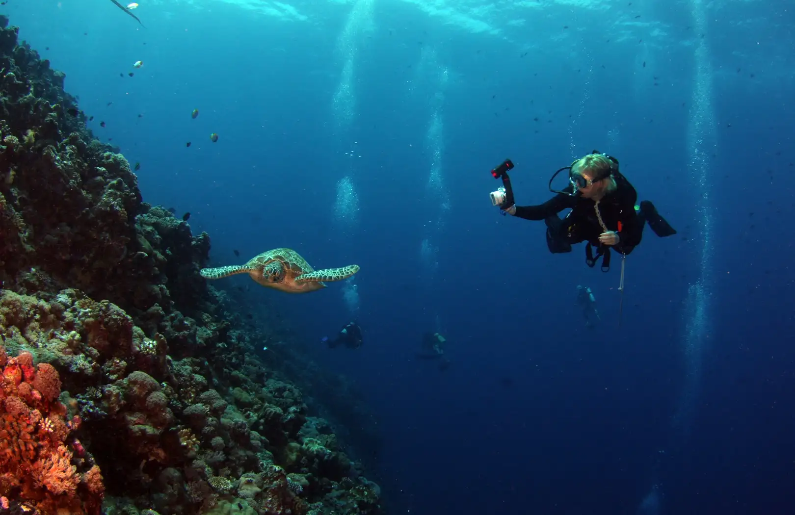 Penida / Lembongan Dive