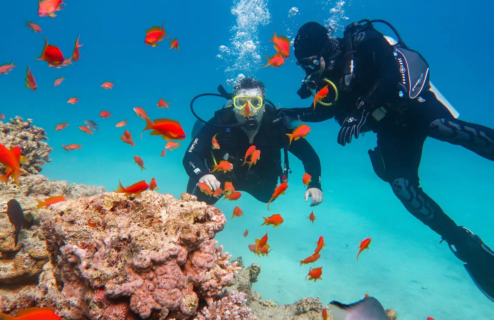 Amed Dive