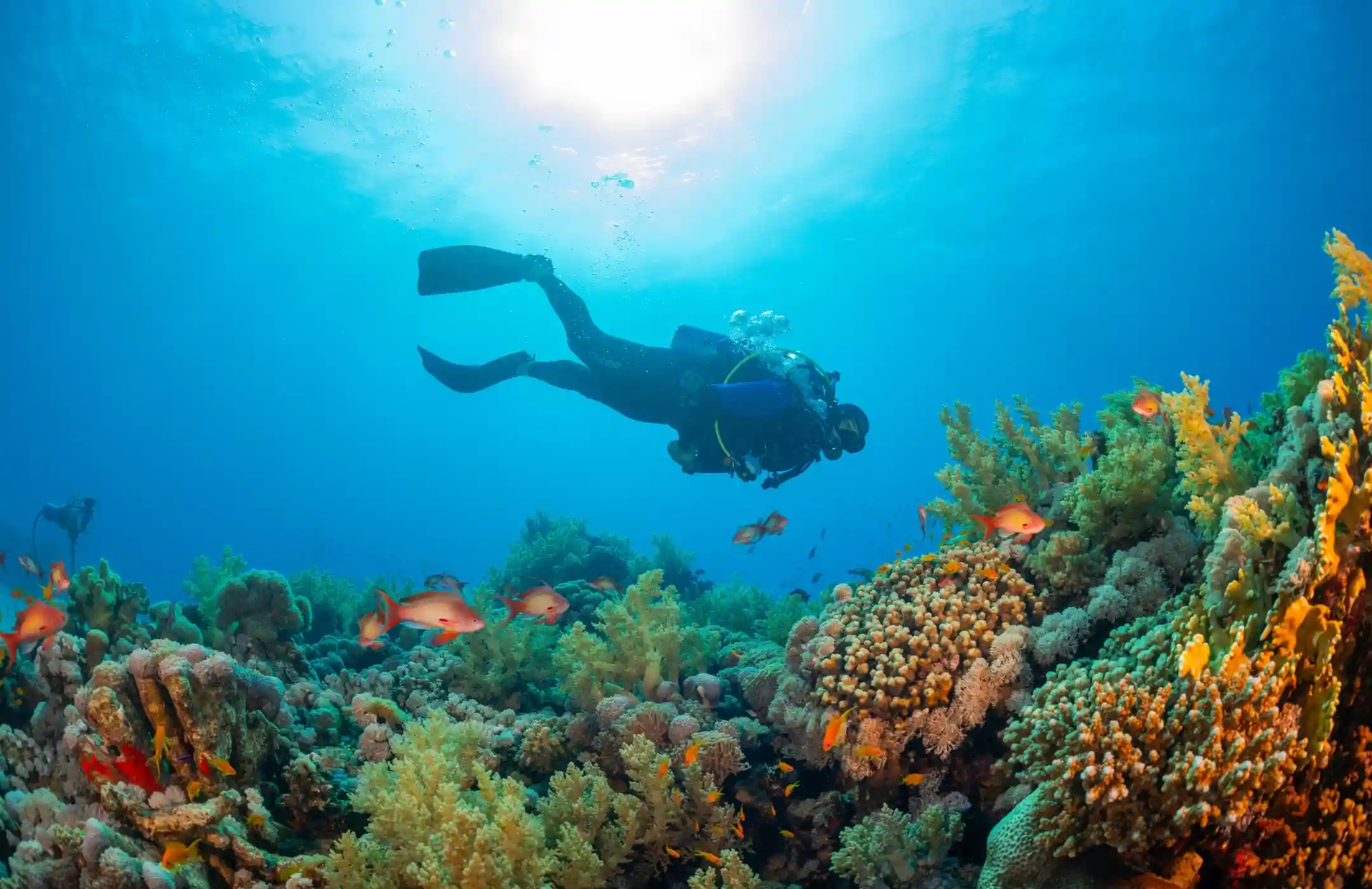 Nusa Dua Dive (2x Dive)