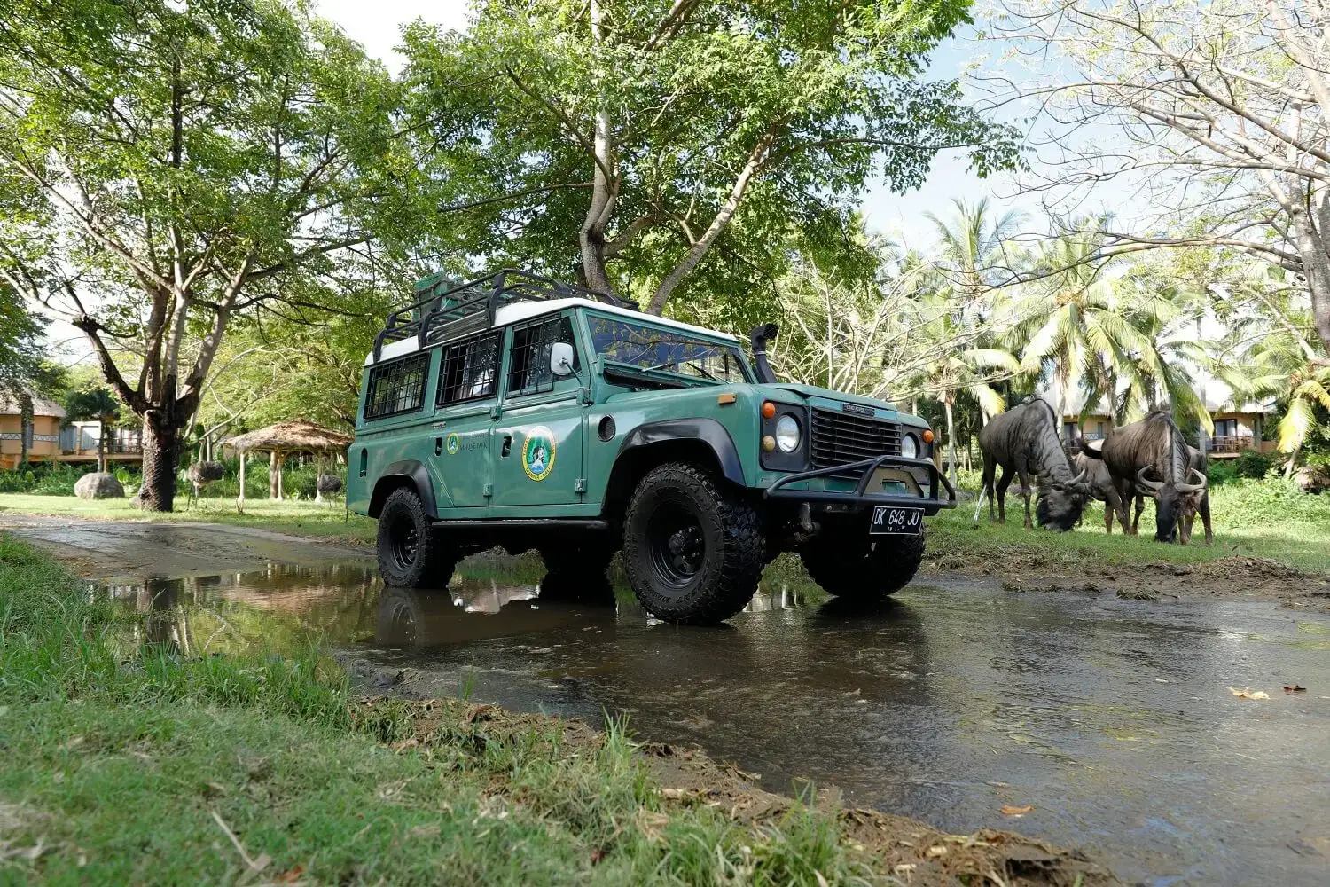 Bali Safari Wildlife Adventure