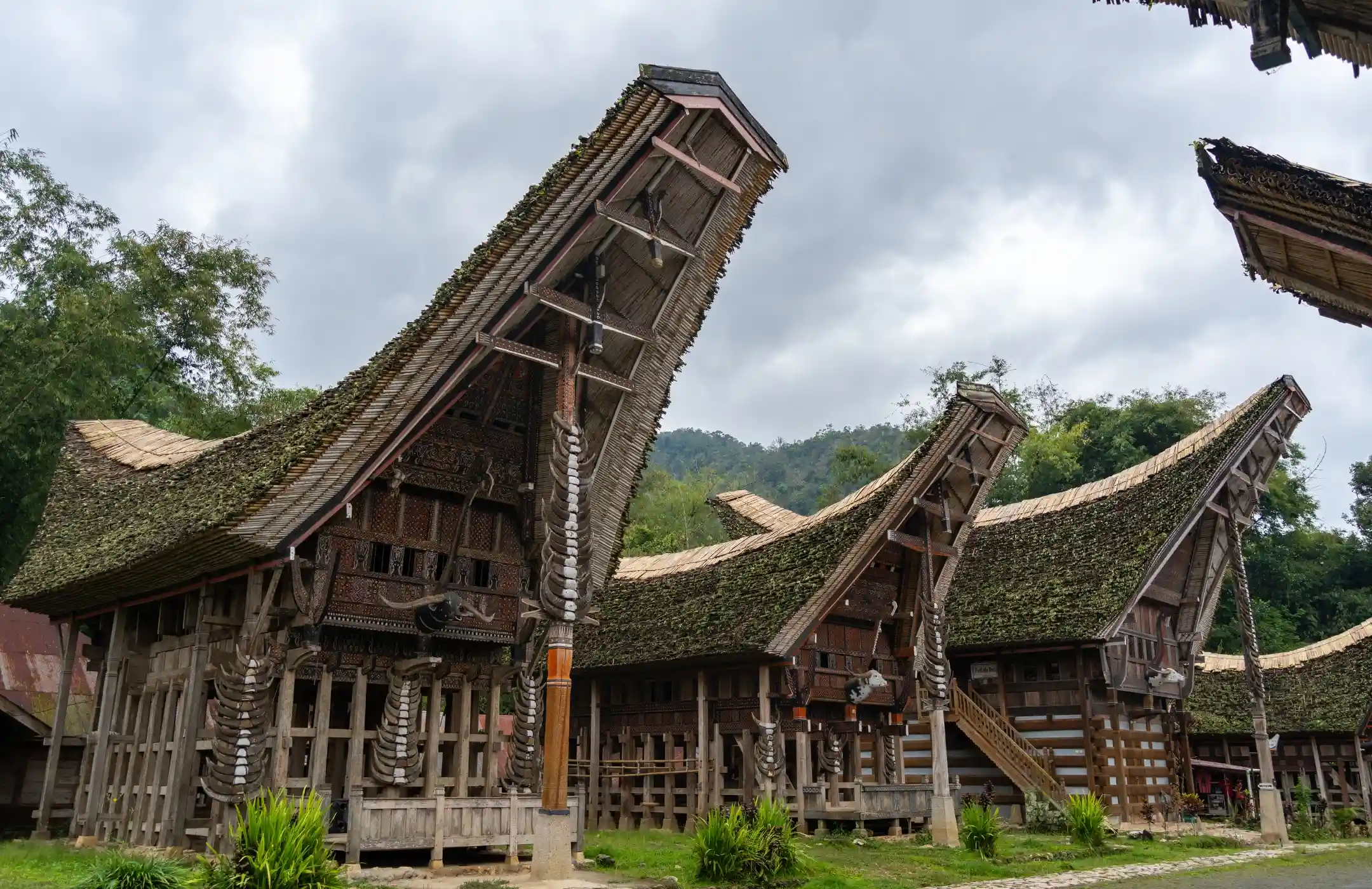 Toraja Cultural Heritage Tour