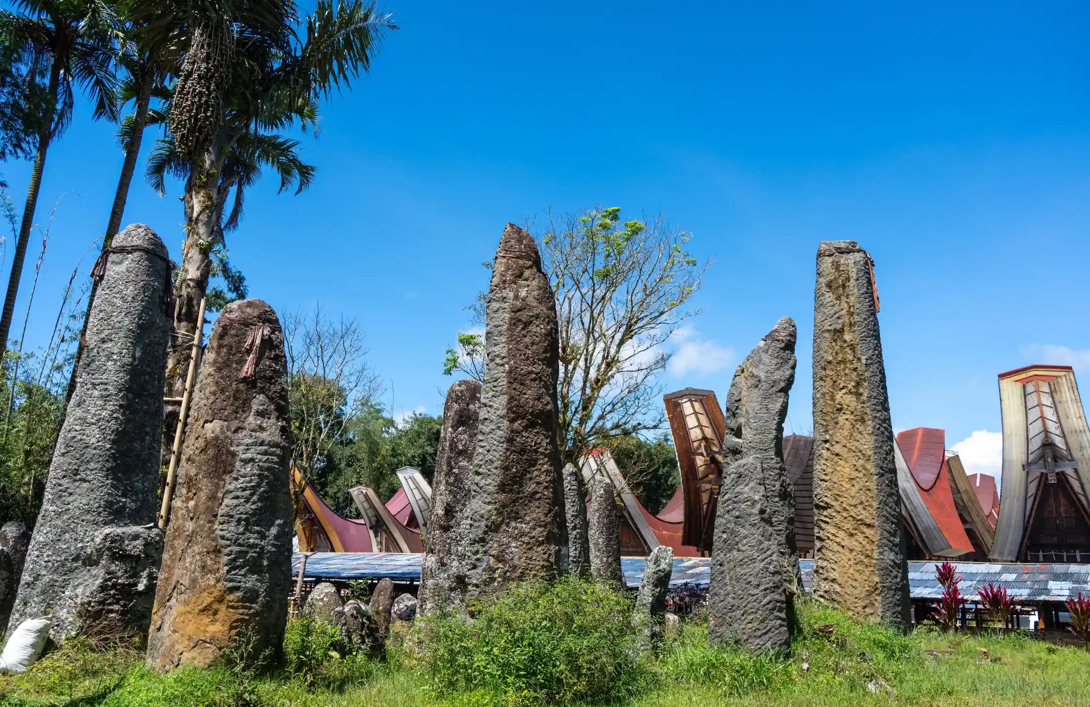 Toraja Nature & Culture Escape