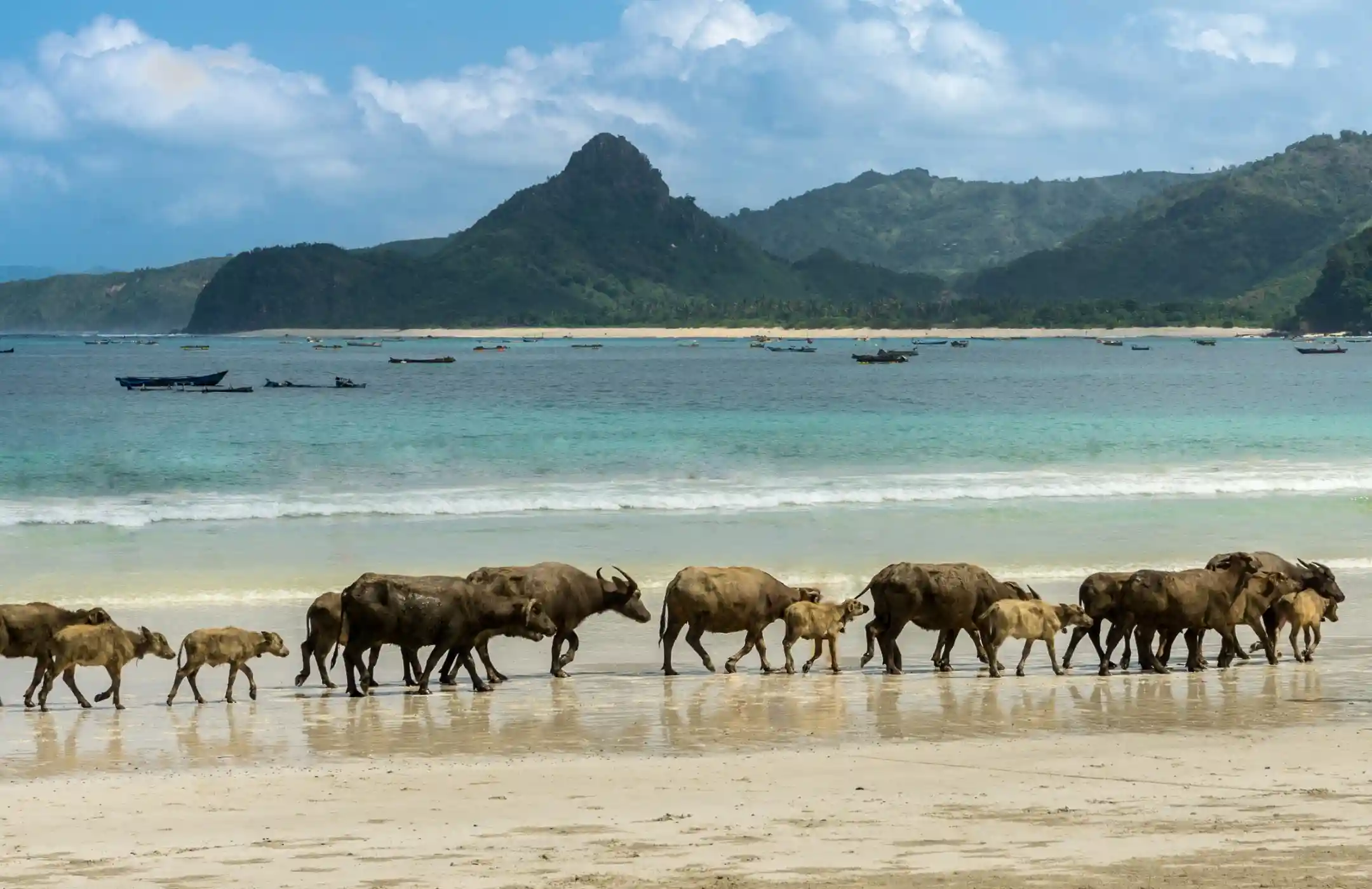 Lombok Island Scenic Adventure