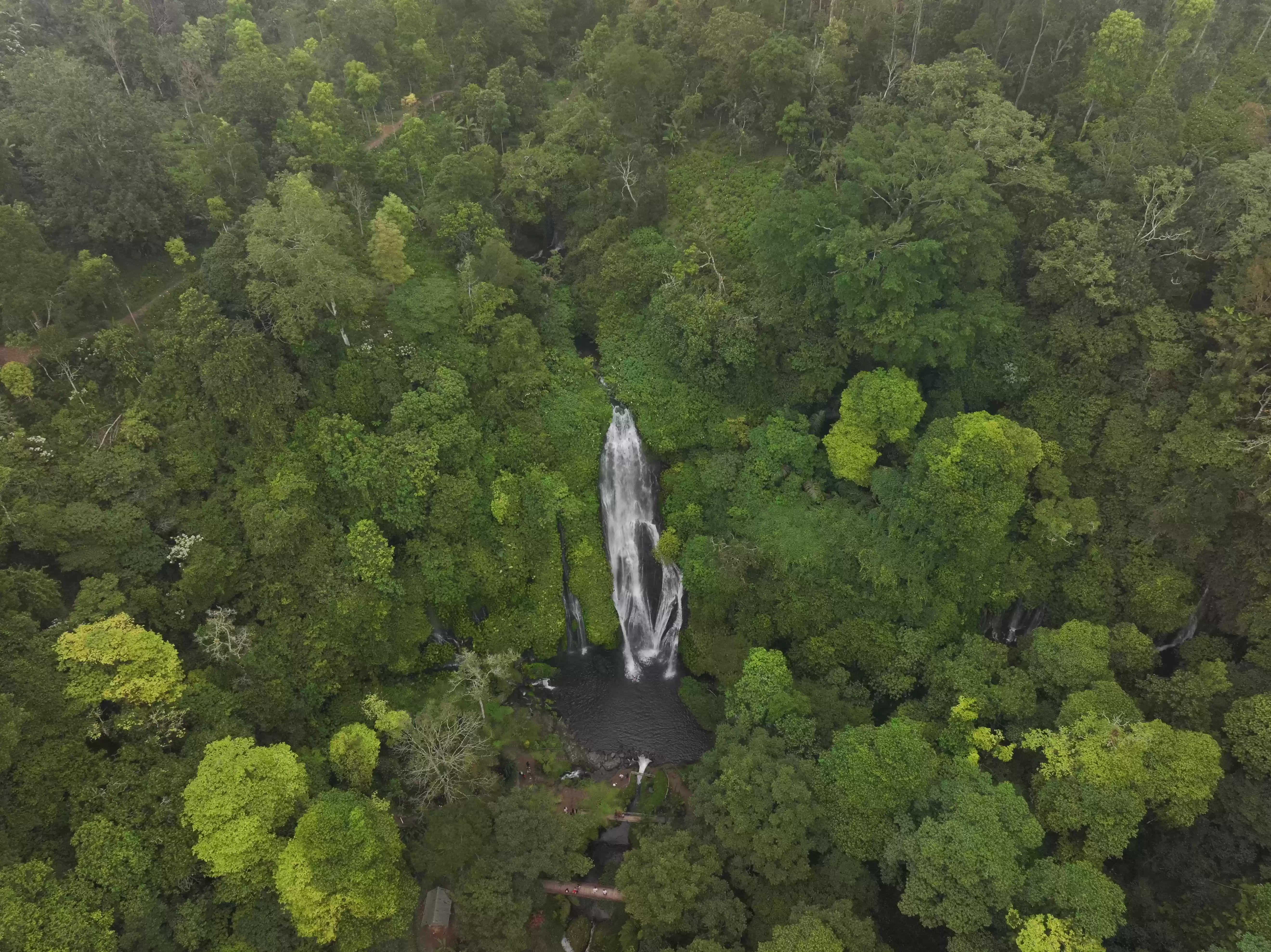 One Day Trip Sekumpul & Baturan Waterfall