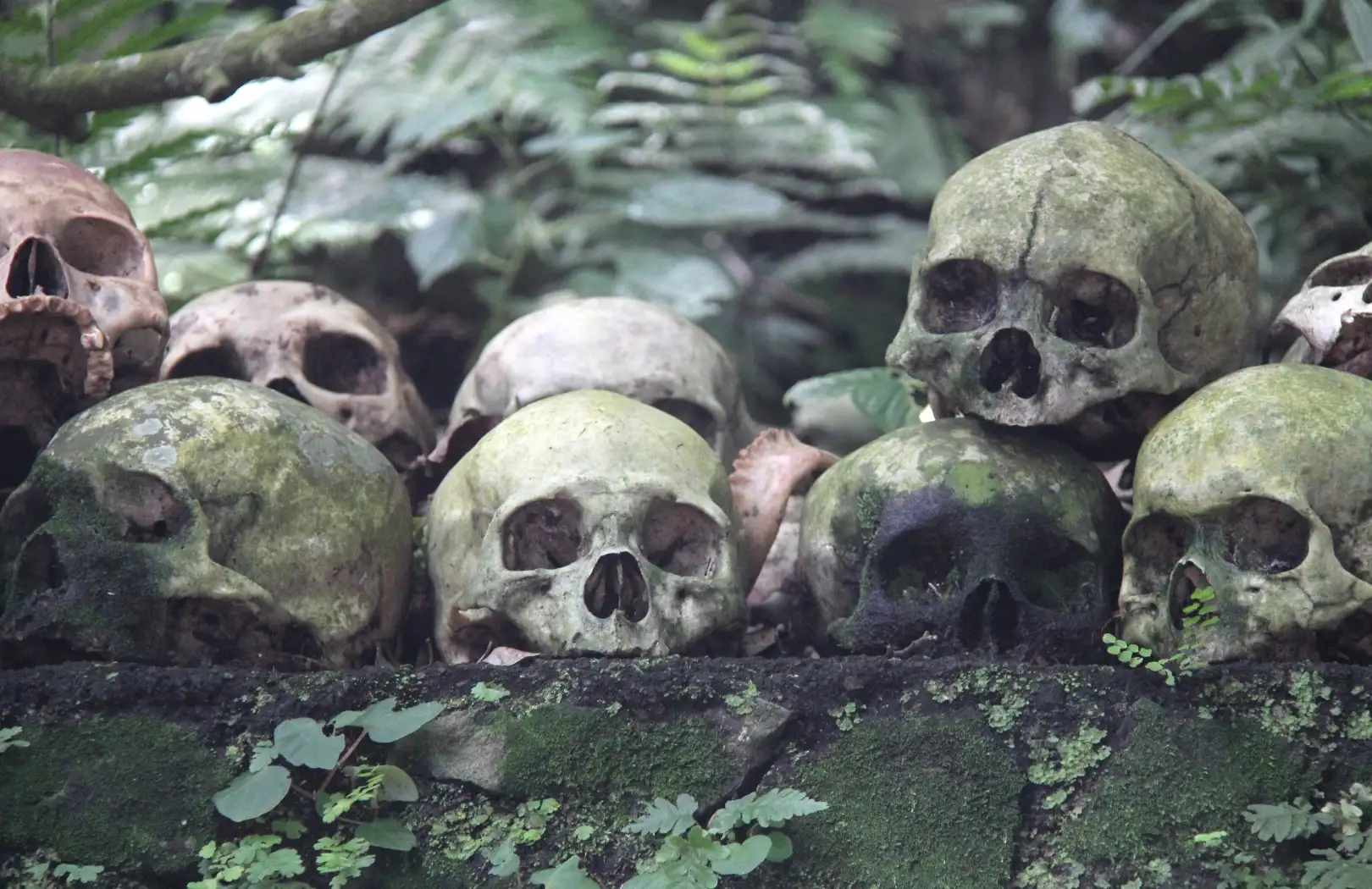 Bali Private Mystic Death Tour In Trunyan