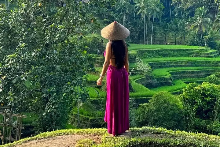Ubud Guided Tour Monkey Forest, Waterfall, Temple & Rice Terrace