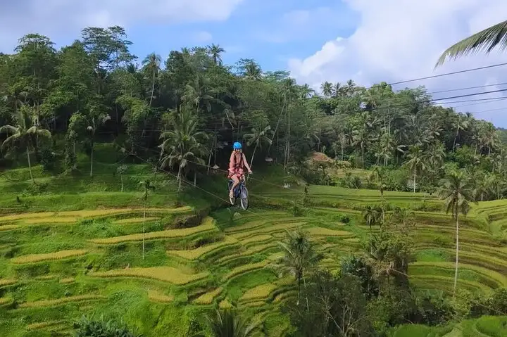 Ubud Half Day Skybike and Zipline Rice Terrace Tour