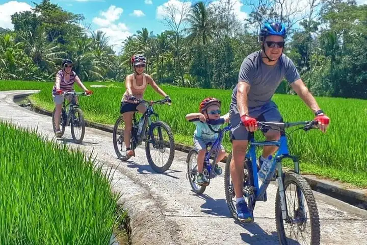 Bali Cycling Explore Village and Firefly Conservation with Lunch
