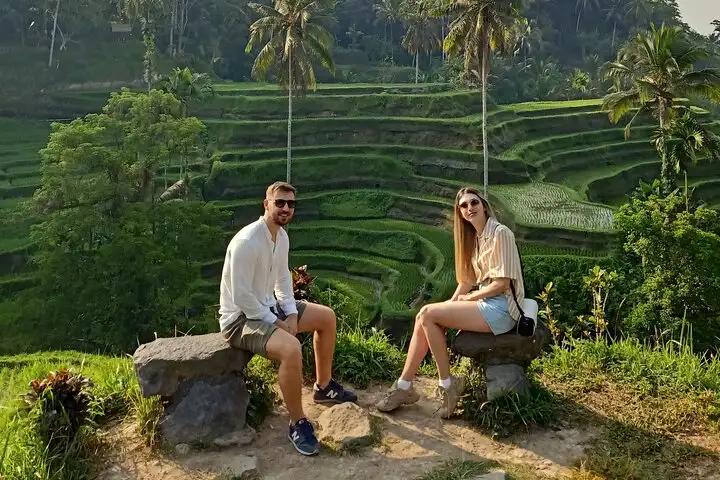 Ubud Monkey Forest, Jungle Swing & Rice Terrace Half Day Tour