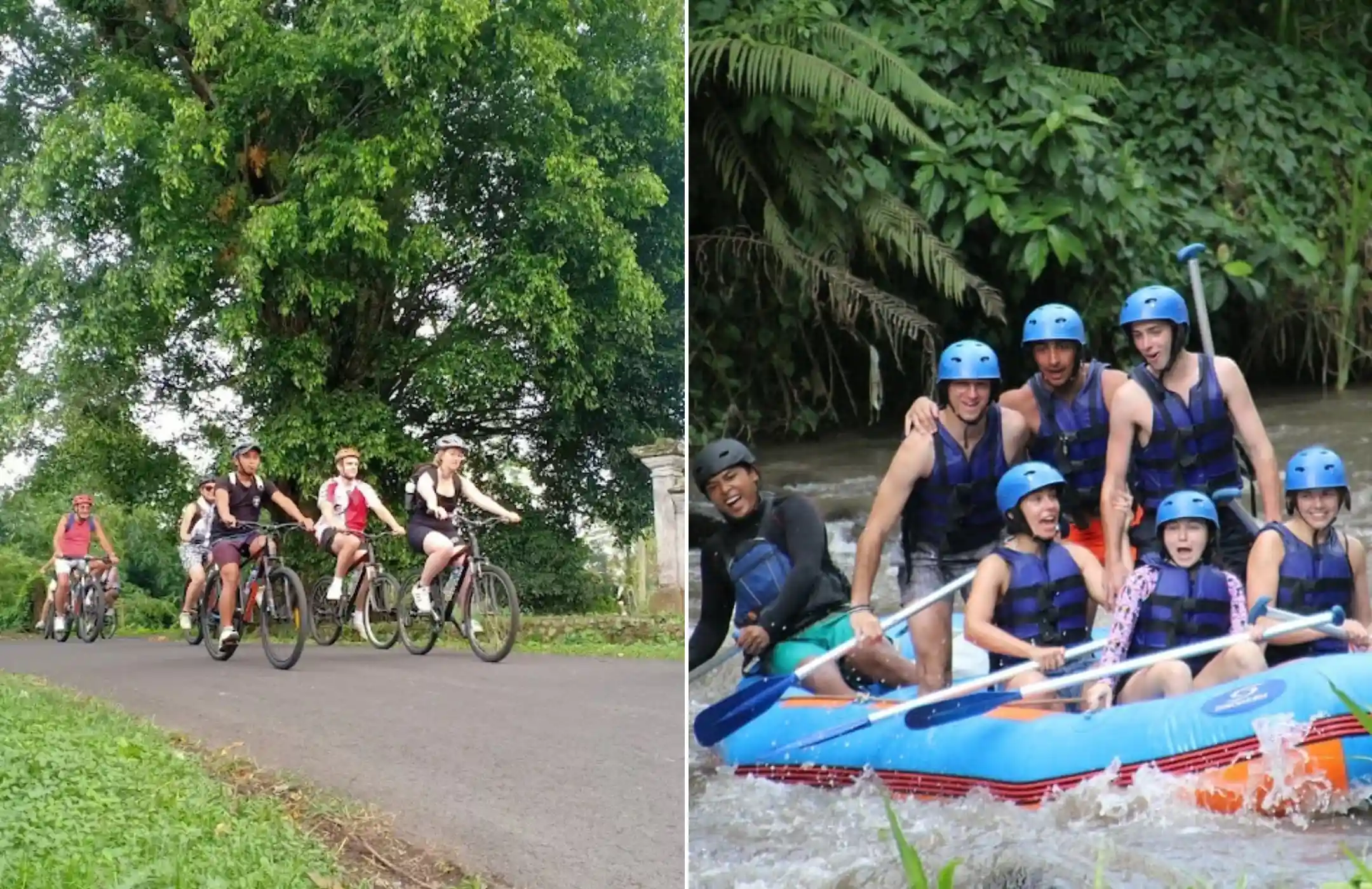 Ubud Cycling and Rafting Experience
