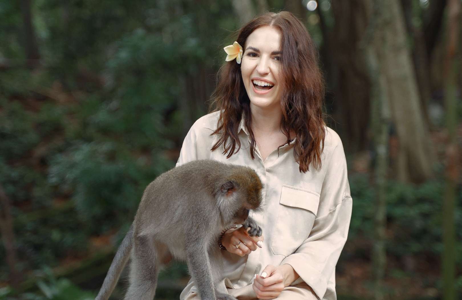 Ubud Guided Tour Monkey Forest, Waterfall, Temple & Rice Terrace