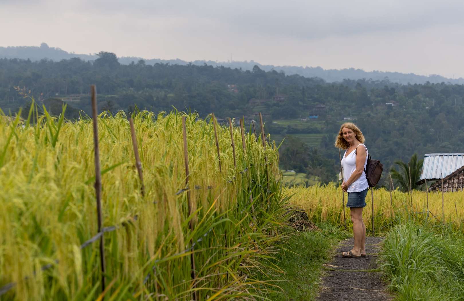 Bali Tanah Lot, Ulun Danu Beratan & Jatiluwih Rice Terrace