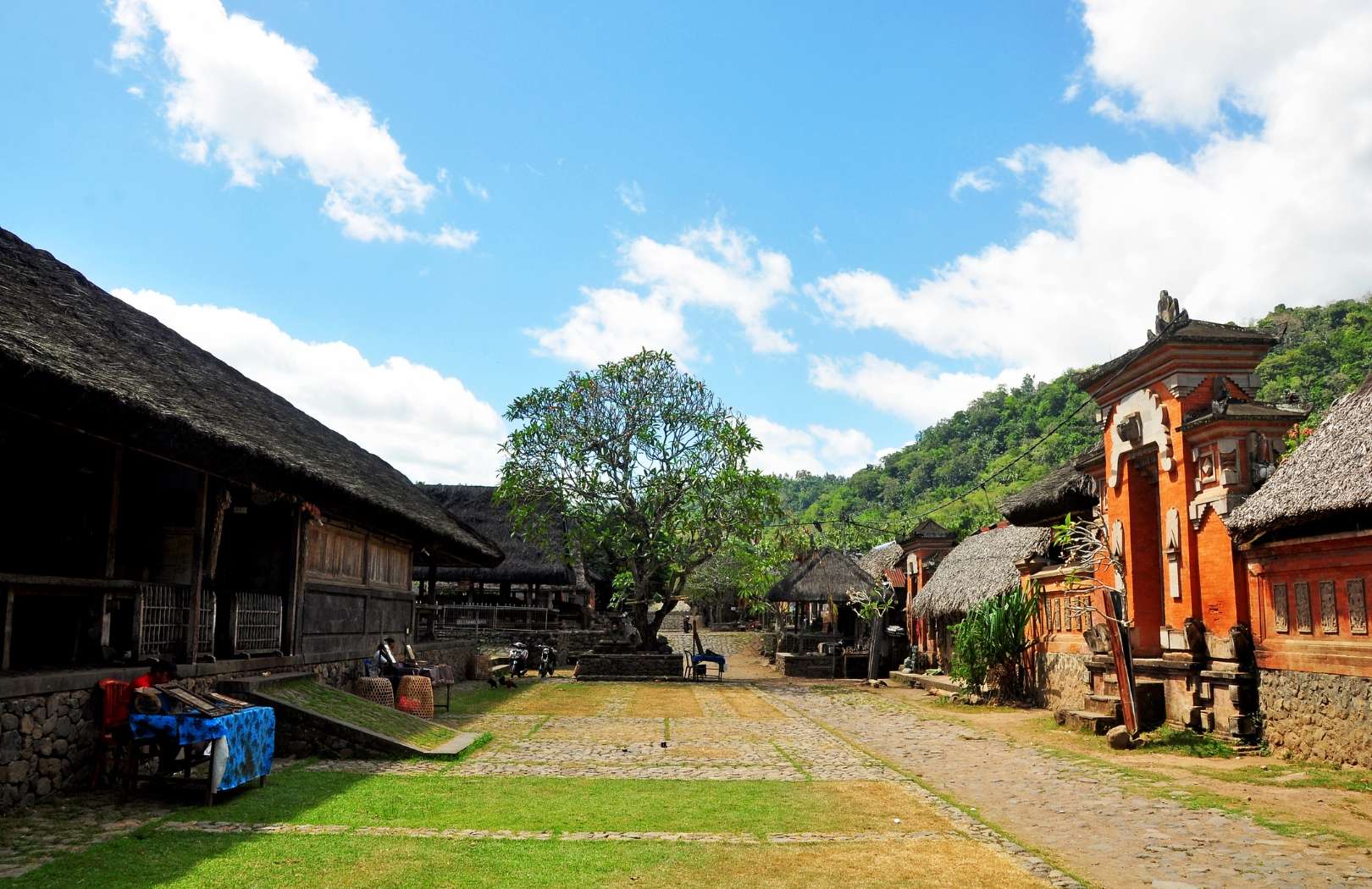 Bali Tirta Gangga, Taman Ujung, Tenganan Village and Beach