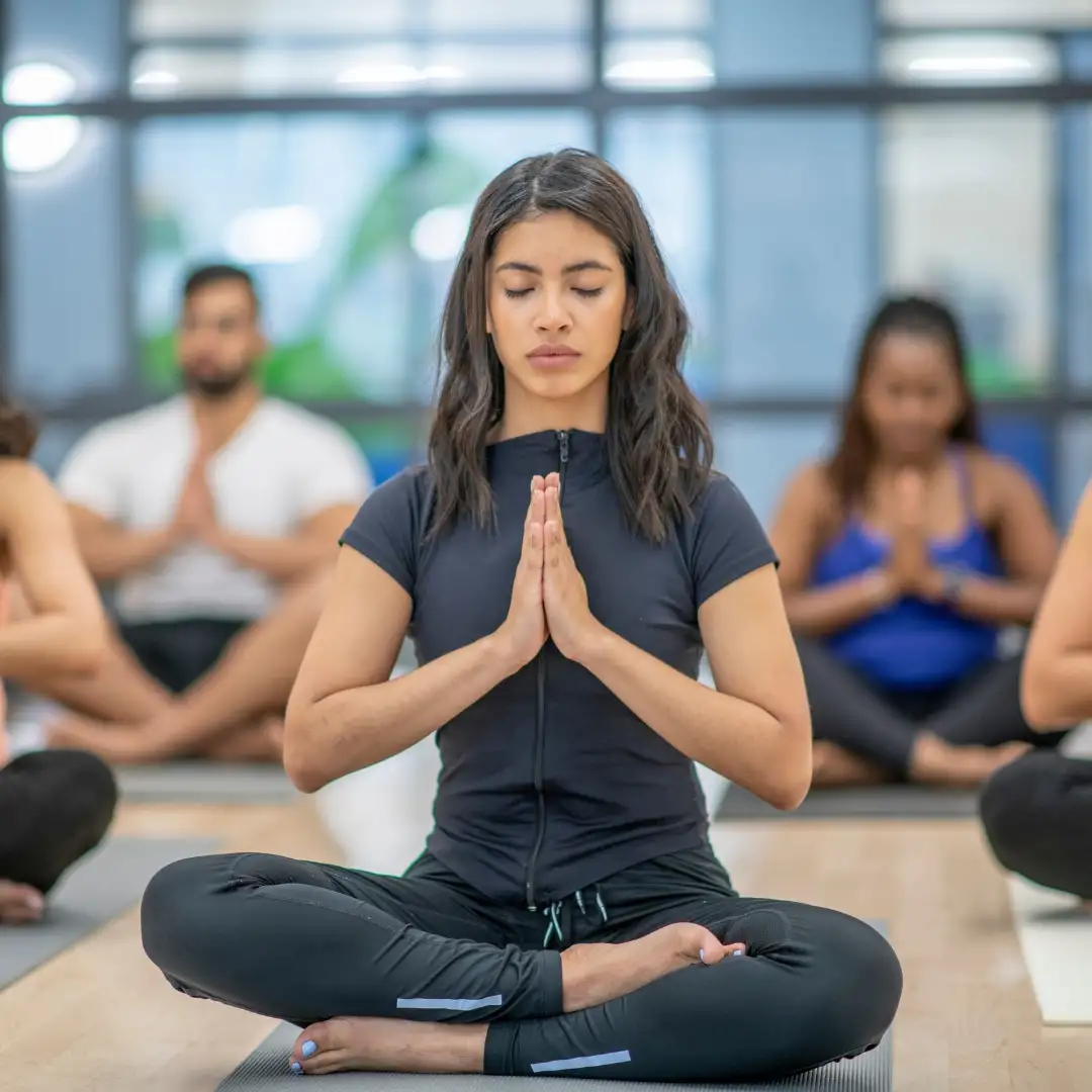 Emotional & Mental Body : Manomaya Kosha