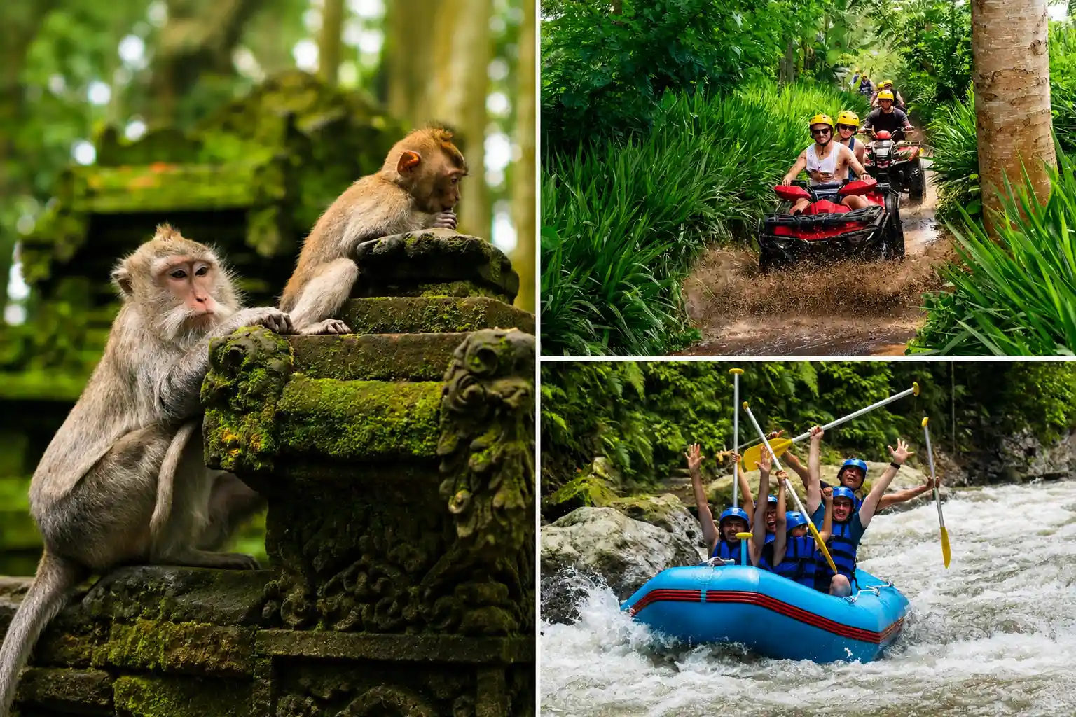 RAFTING + ATV RIDE + MONGKEY FOREST 