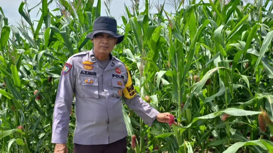 Aipda Azmir Bhabinkamtibmas Polsek Bangko Aktif Dampingi Program Ketahanan Pangan Warga Pekaitan