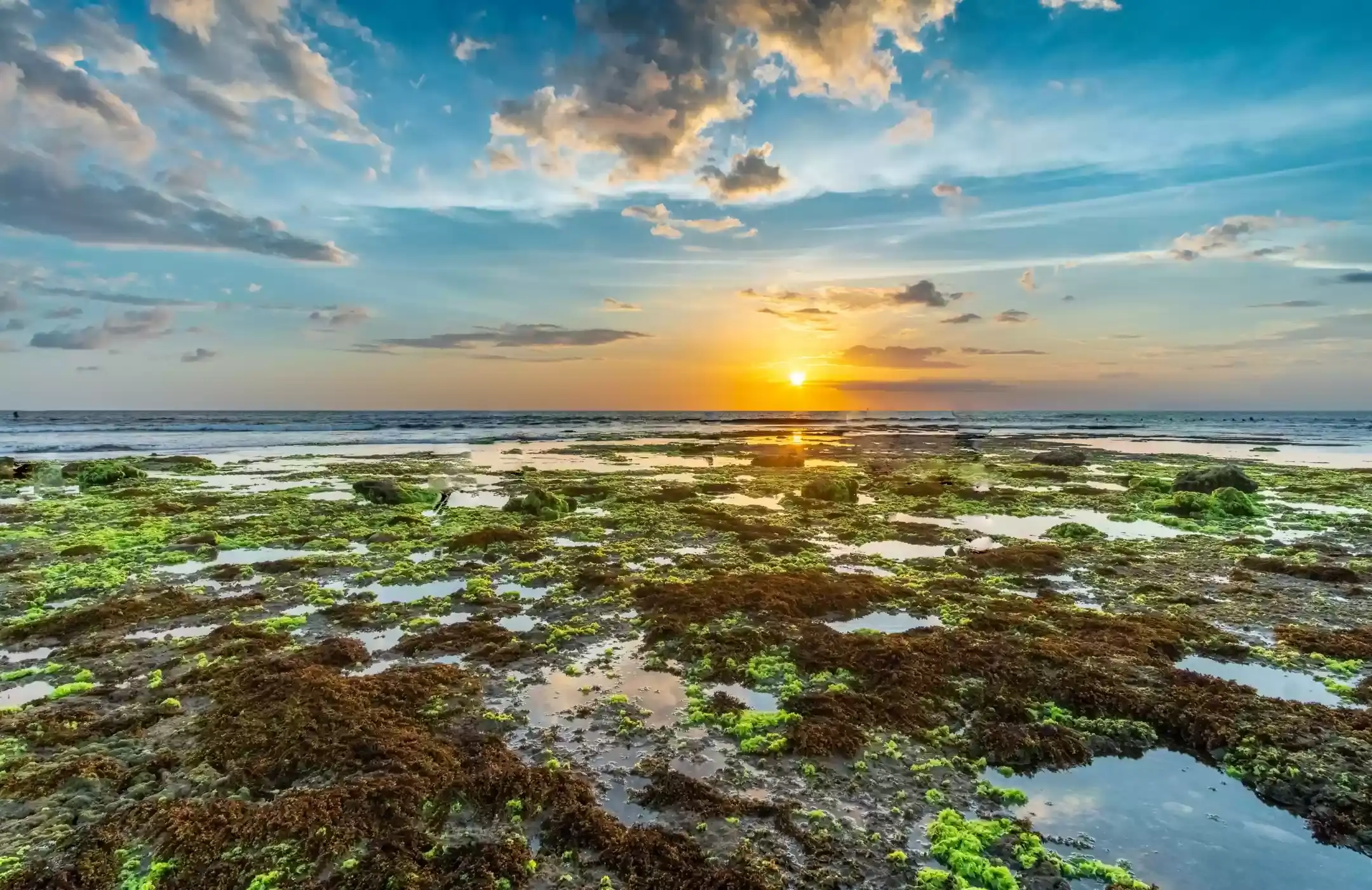 Canggu