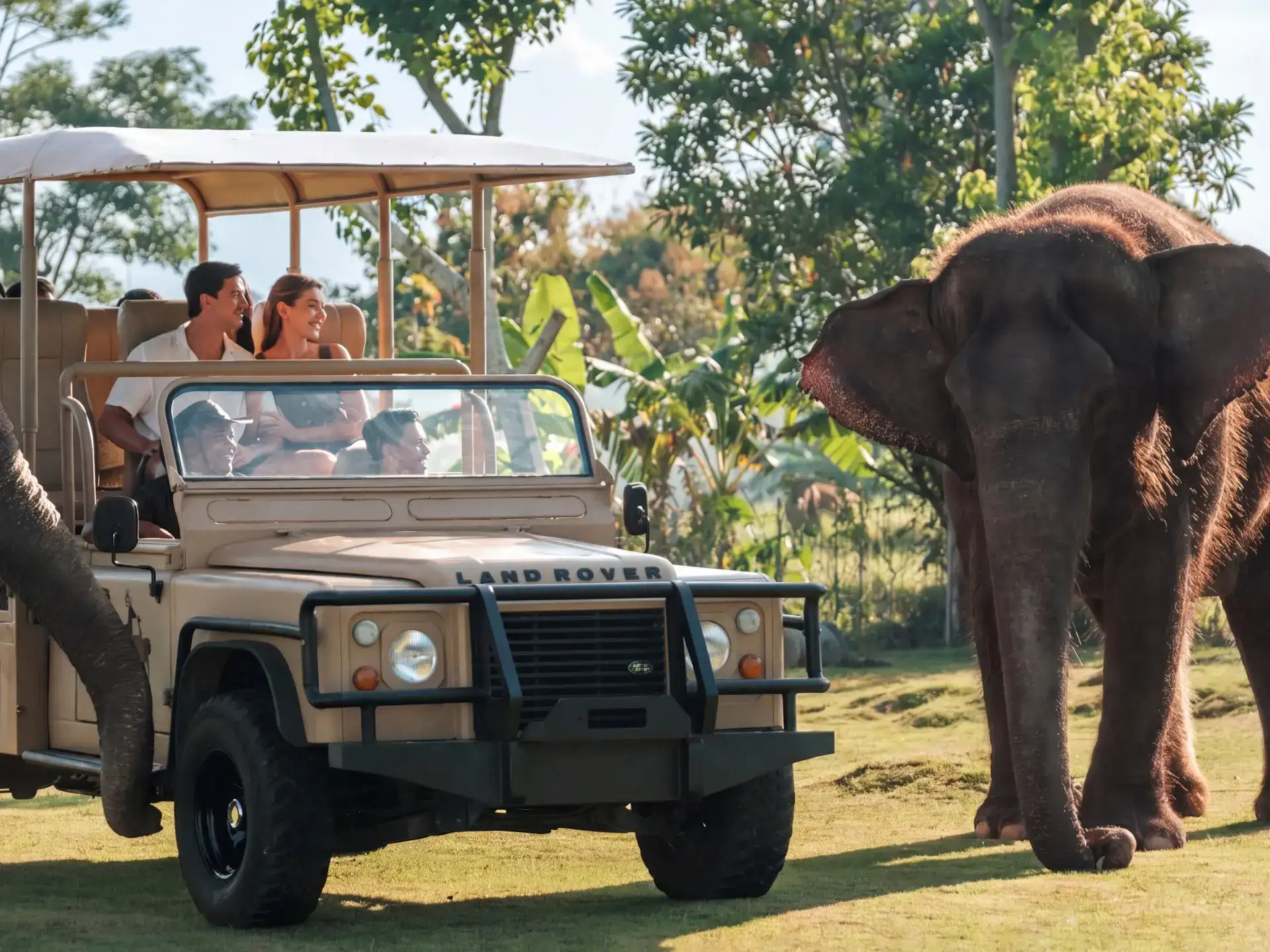 Elephant Explorer