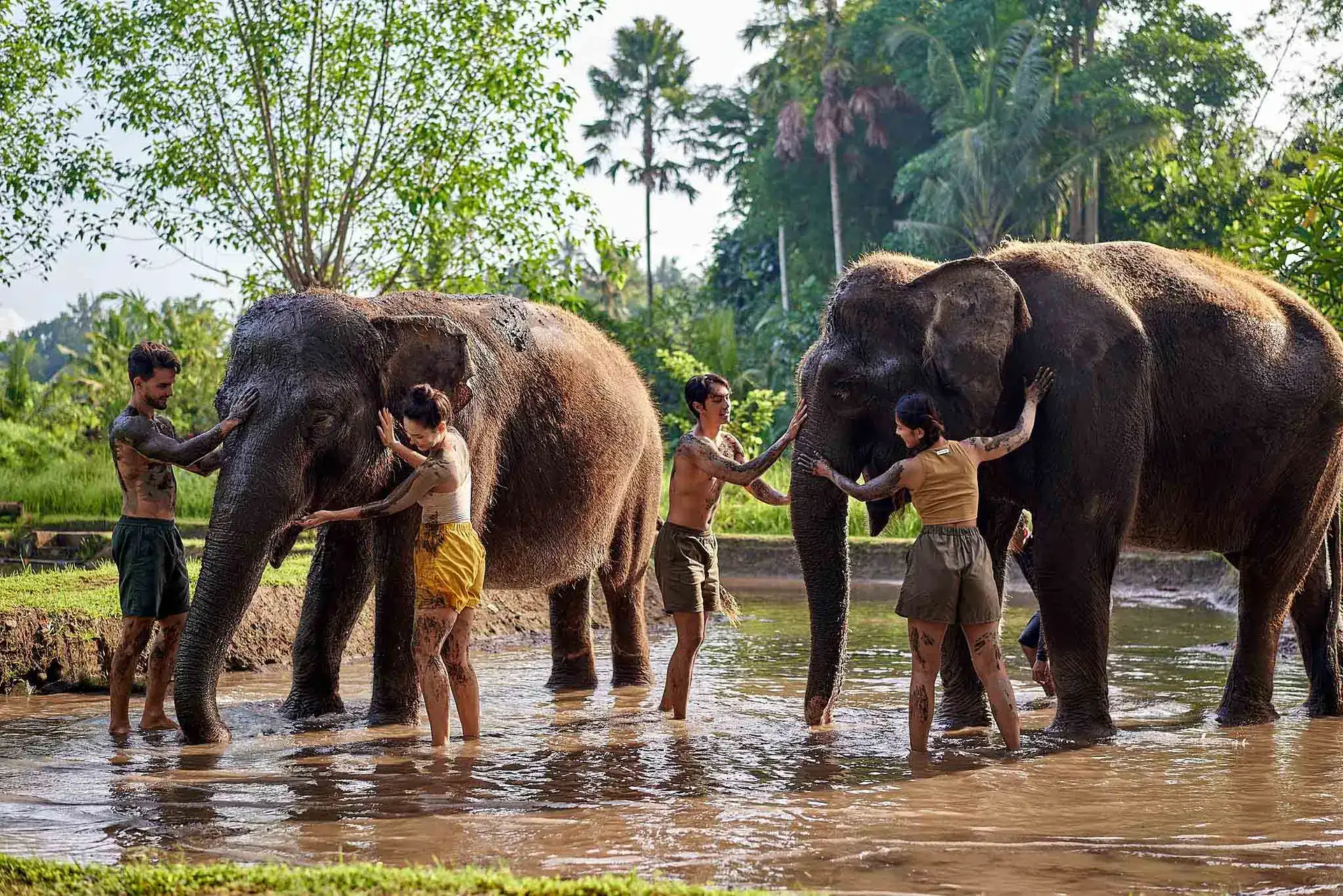 Elephant Mud Fun Packages