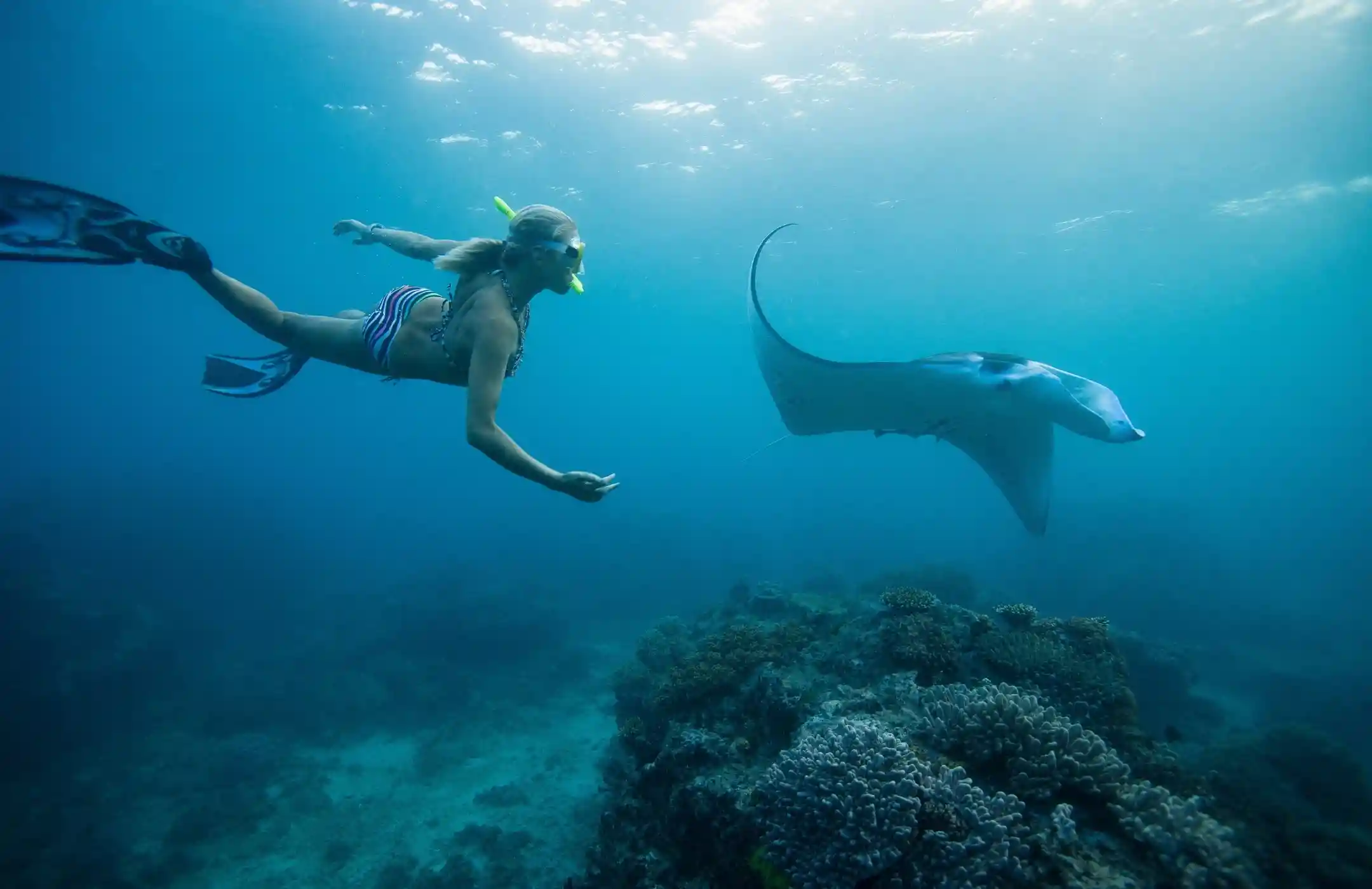 Bali Activities & Experiences