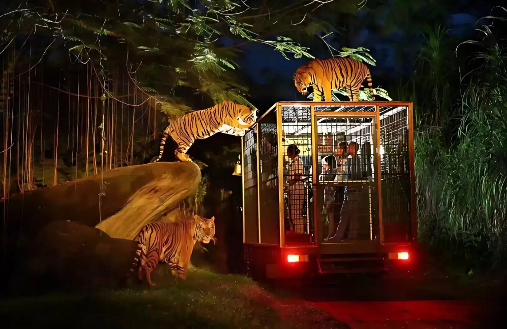 Bali Safari and Marine Park Experience