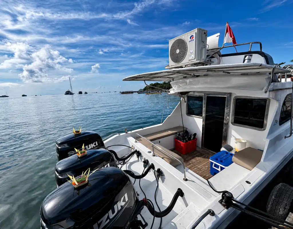 Private Speedboat Charter Half-Day Sunset Kalong Labuan Bajo (Maks 15 Pax)