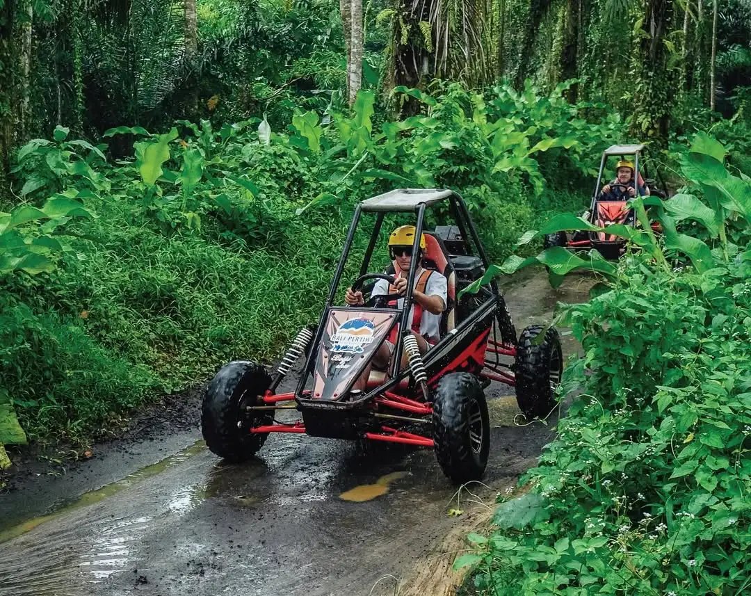 Bali Jungle Buggy Adventure - Cave, Rice Fields & Mud Track Experience