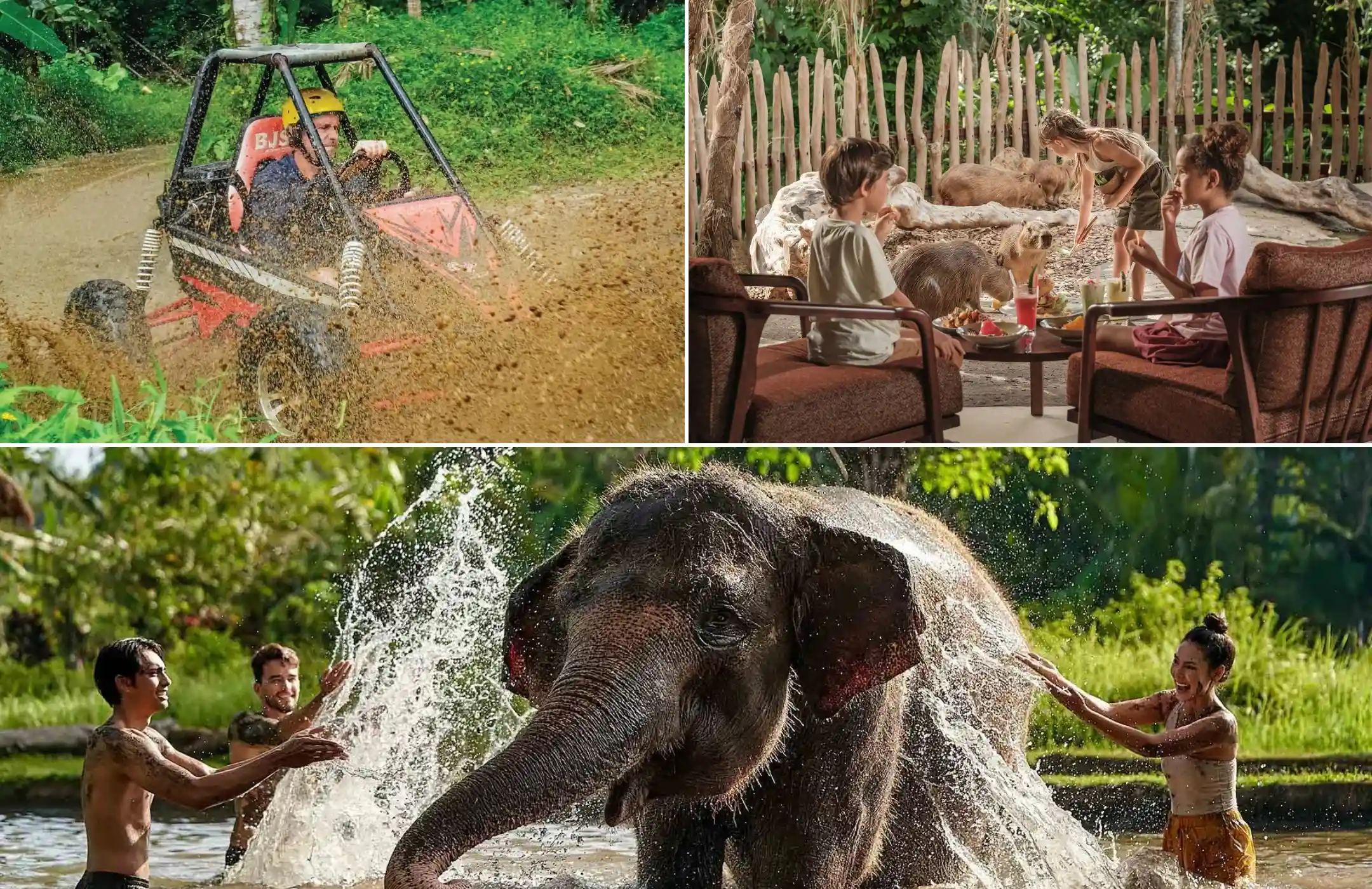 Bali Buggy Adventure, Brunch with Capybaras & Elephant Mud Fun Tour